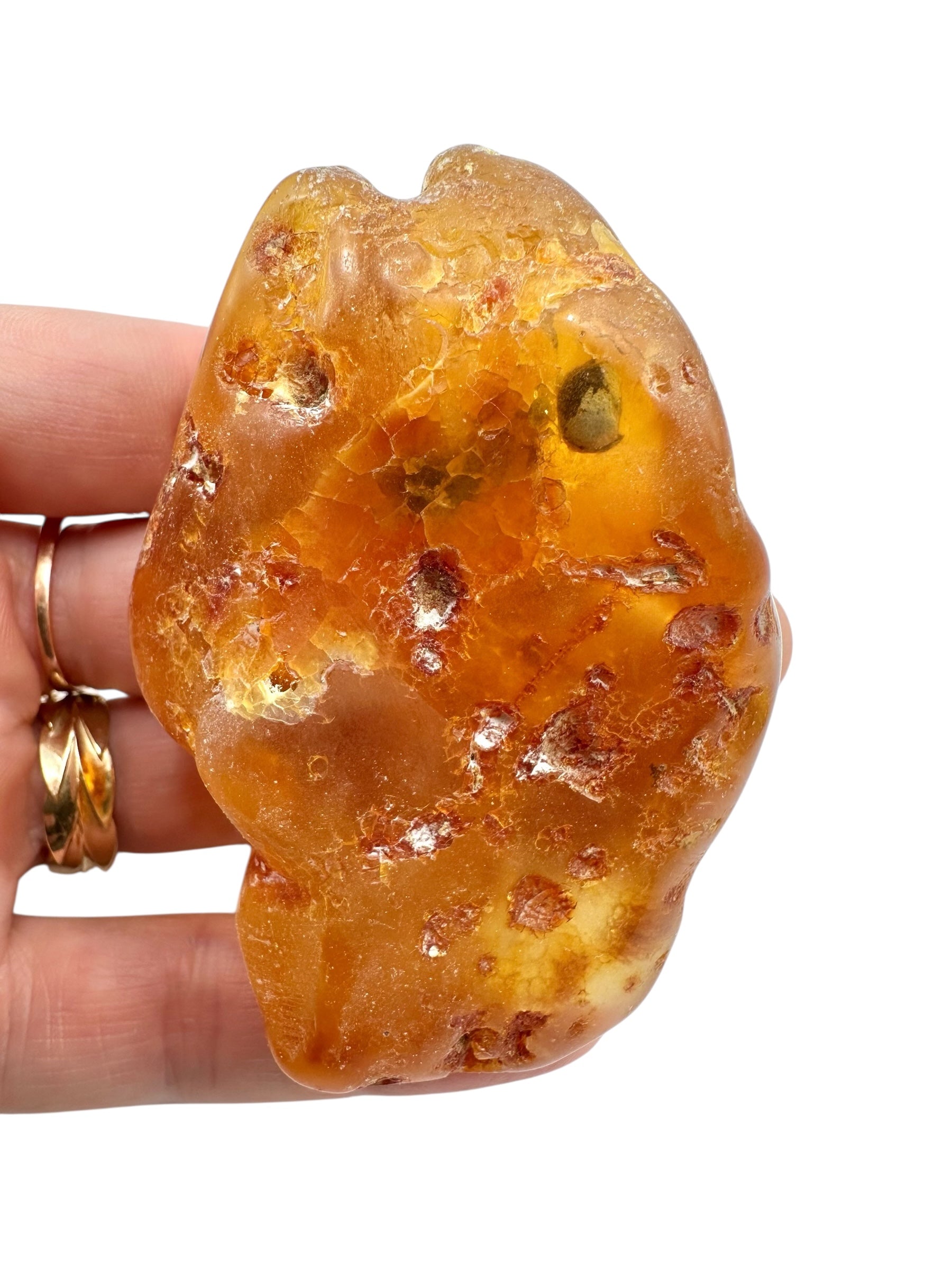 Young Amber (Copal) – Colombia - JN389