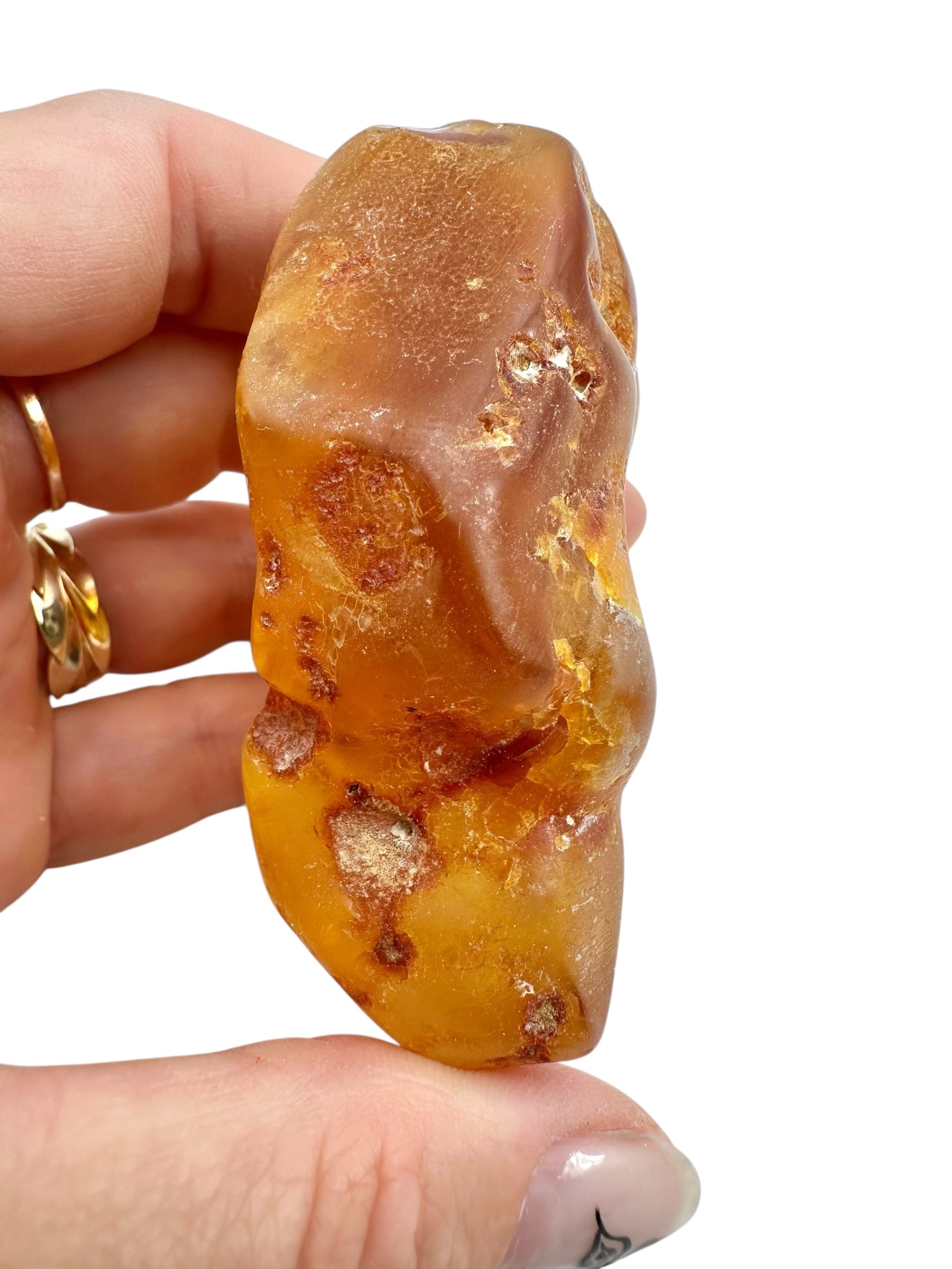 Young Amber (Copal) – Colombia - JN389