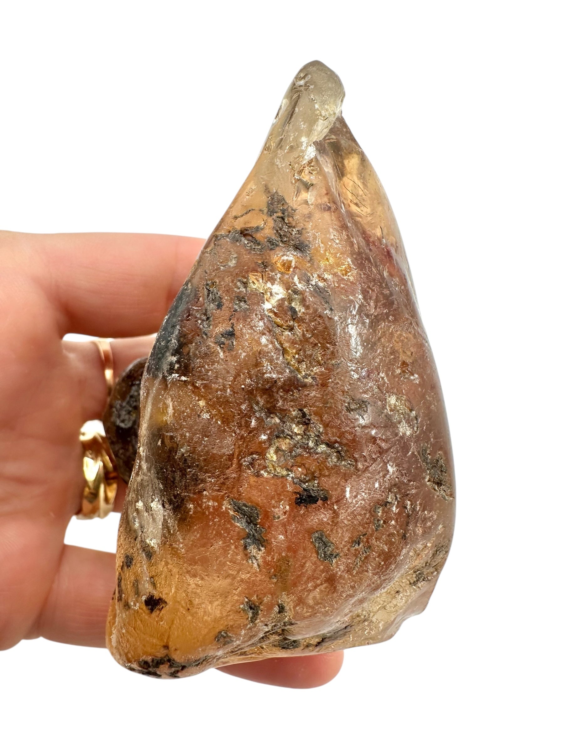 Young Amber (Copal) – Colombia - JN390