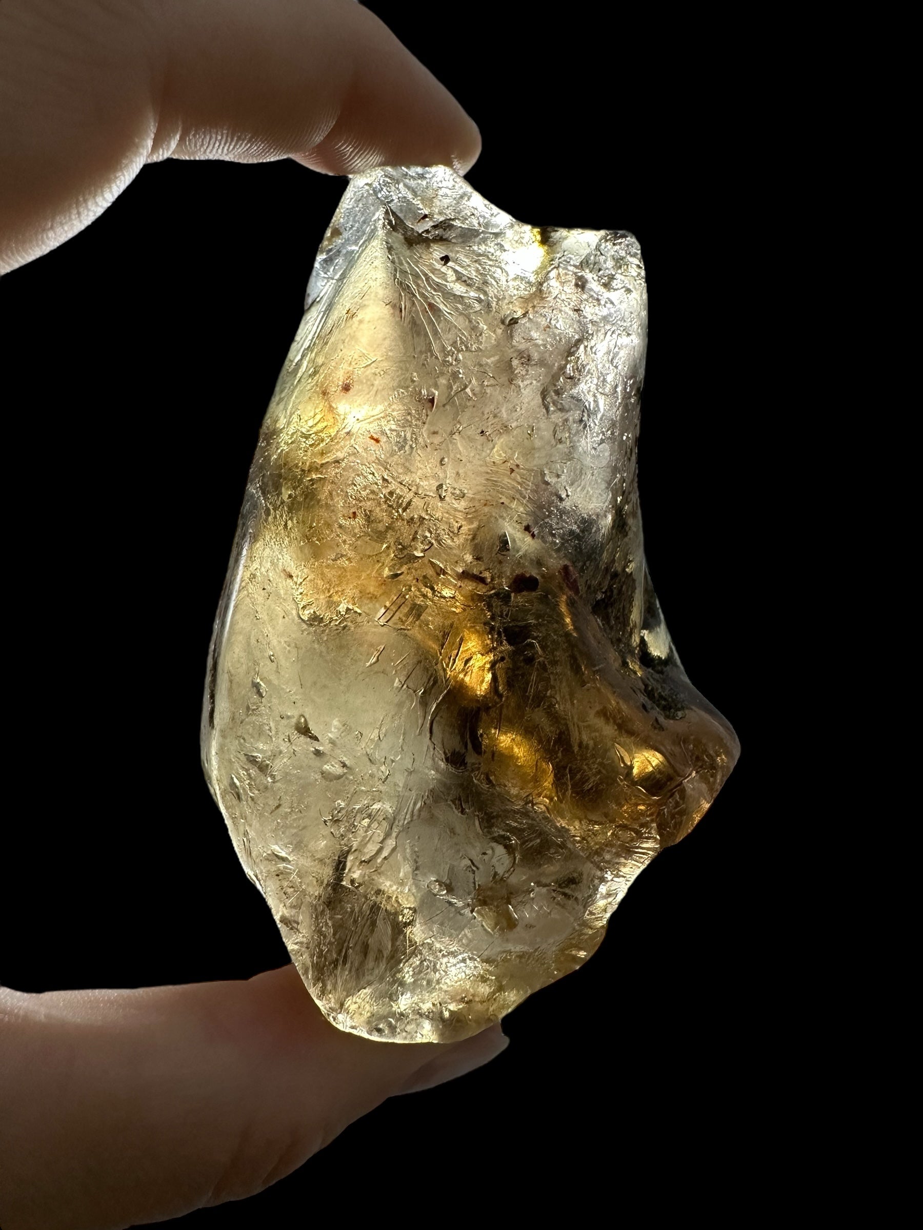 Young Amber (Copal) – Colombia - JN390