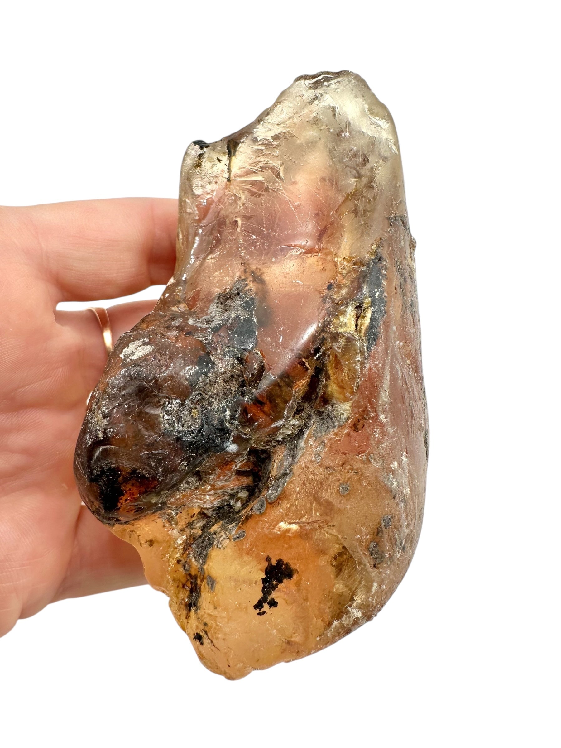 Young Amber (Copal) – Colombia