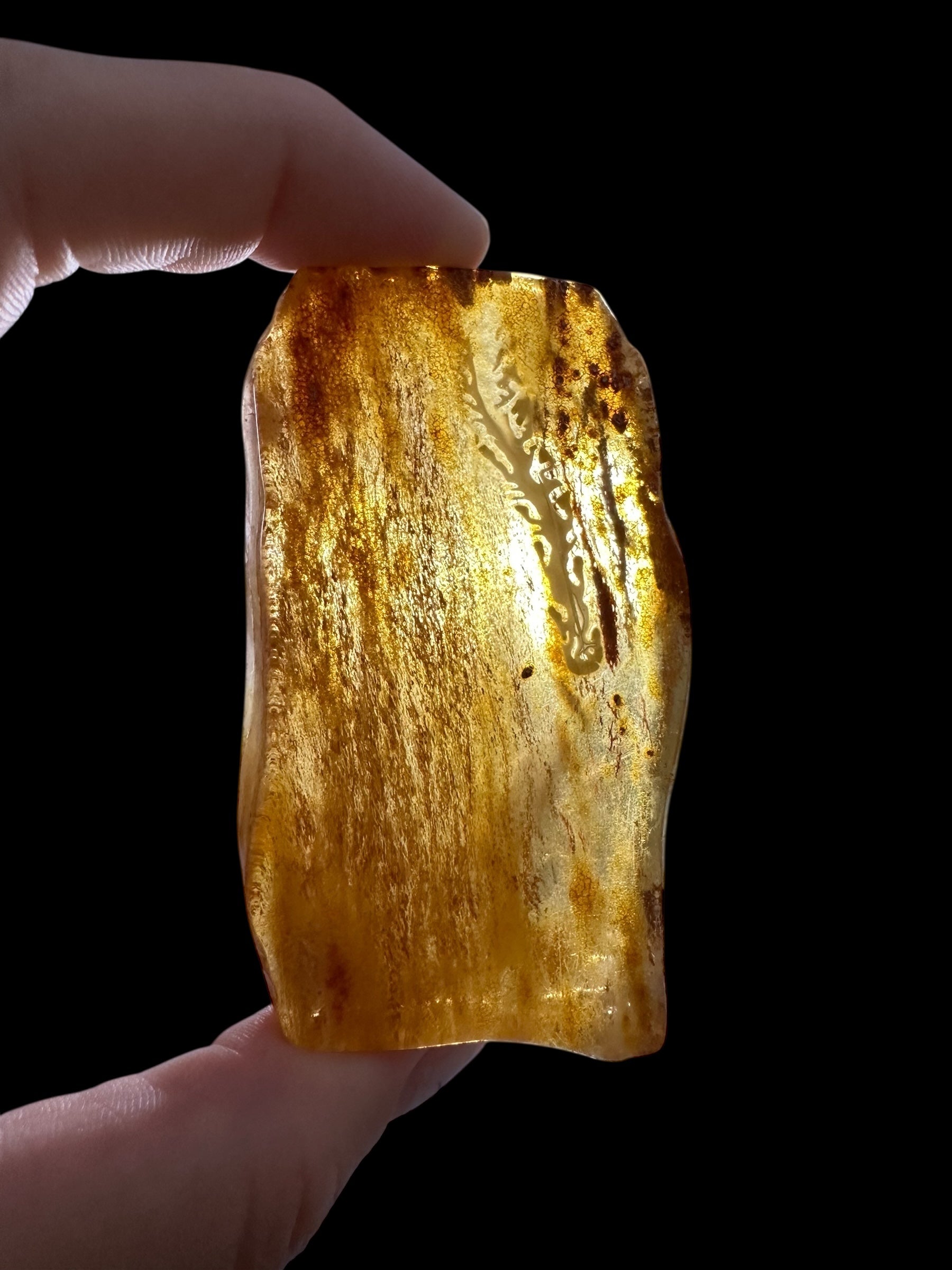 Young Amber (Copal) – Colombia - JN391