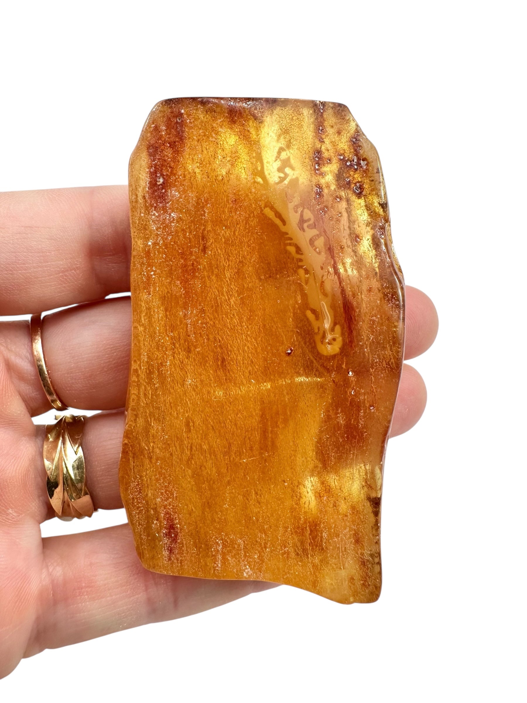 Young Amber (Copal) – Colombia