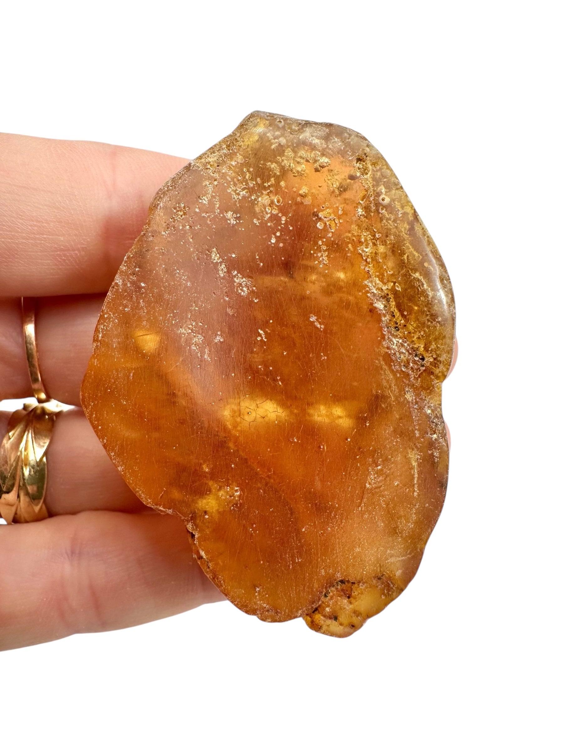 Young Amber (Copal) – Colombia - JN392