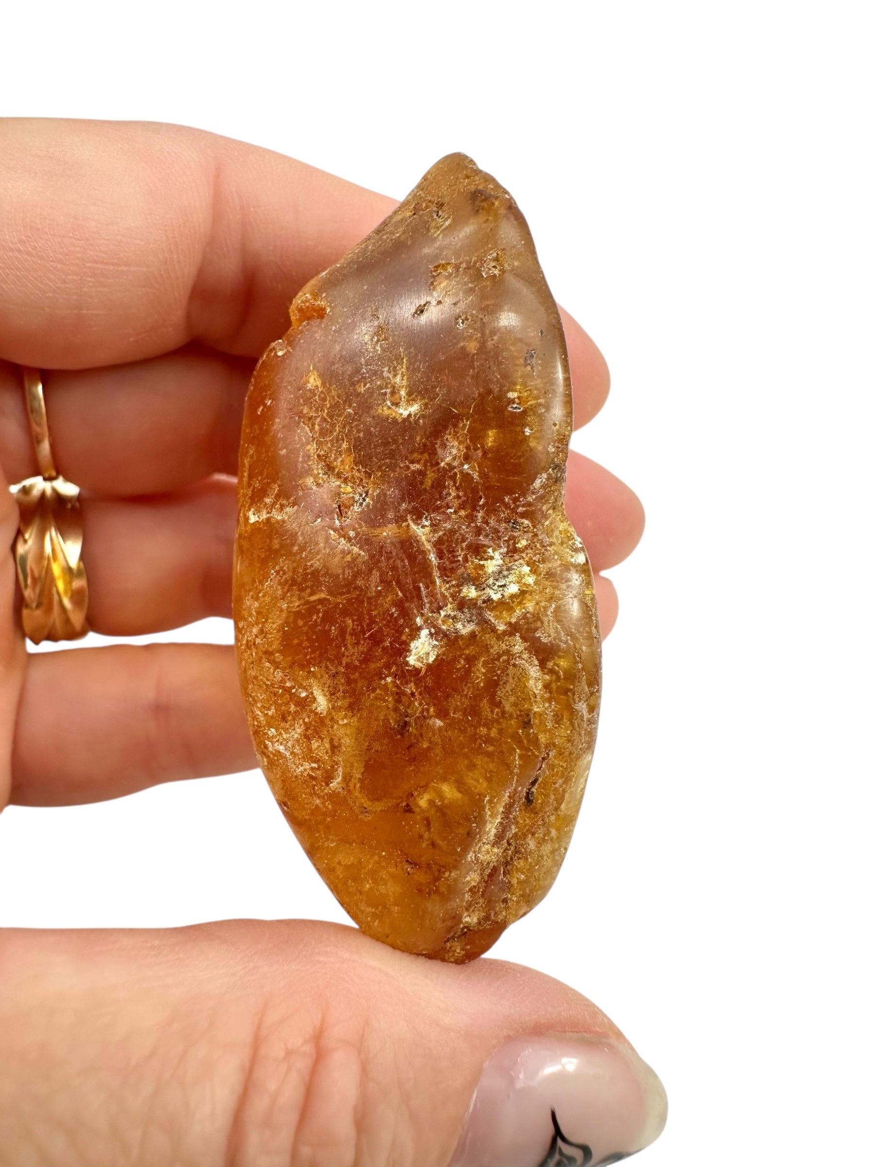 Young Amber (Copal) – Colombia - JN392