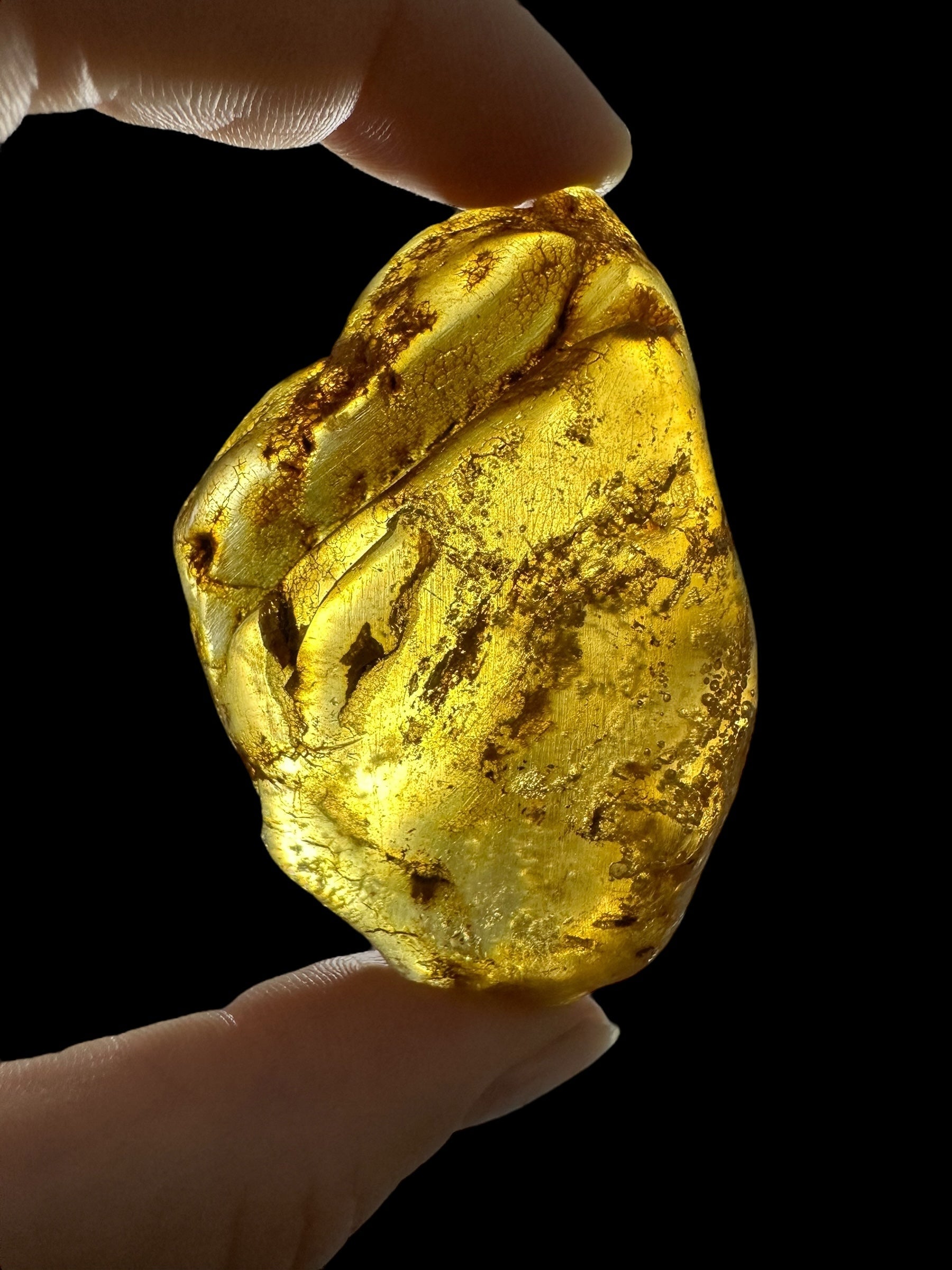 Young Amber (Copal) – Colombia - JN392