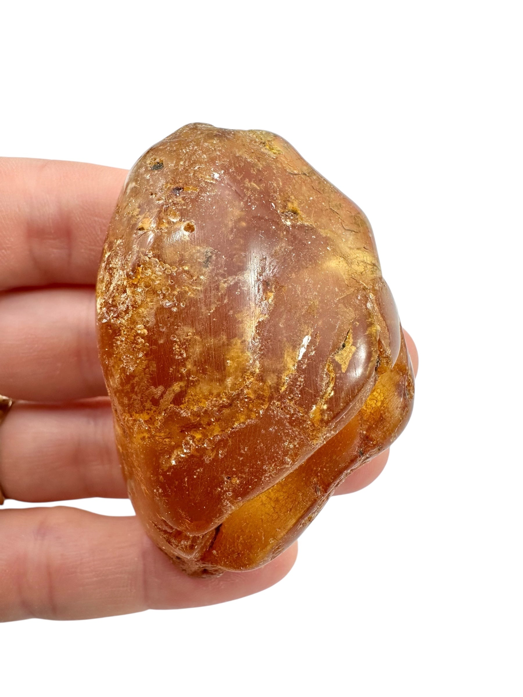 Young Amber (Copal) – Colombia