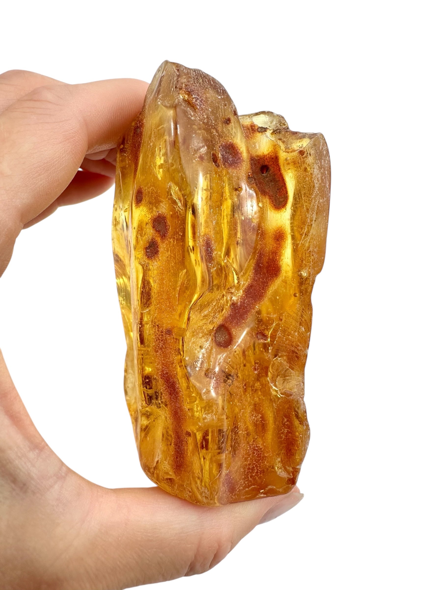 Young Amber (Copal) – Colombia - JN393