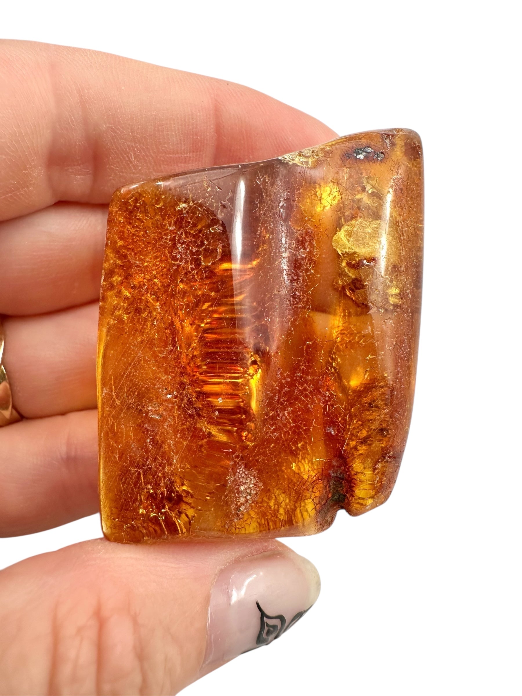 Young Amber (Copal) – Colombia - JN394