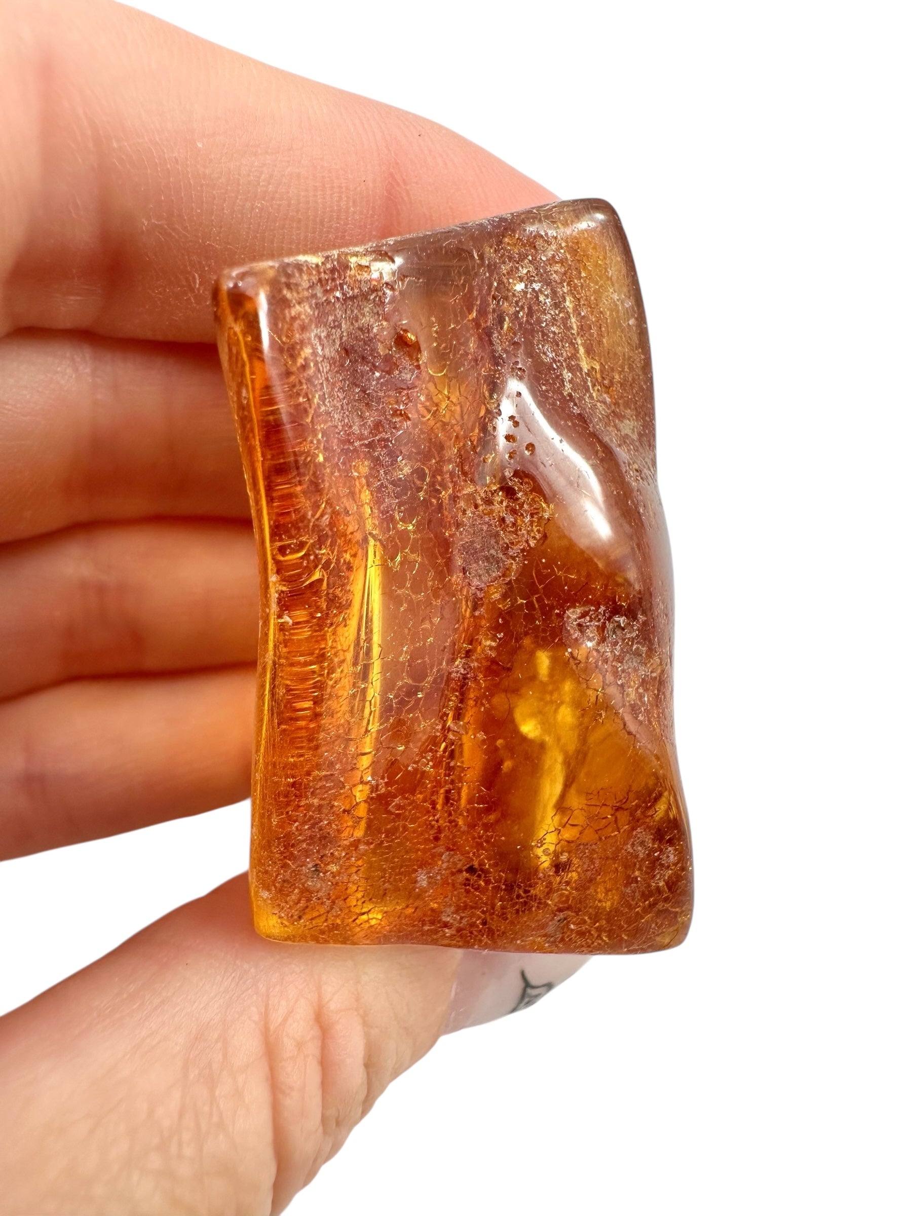 Young Amber (Copal) – Colombia - JN394