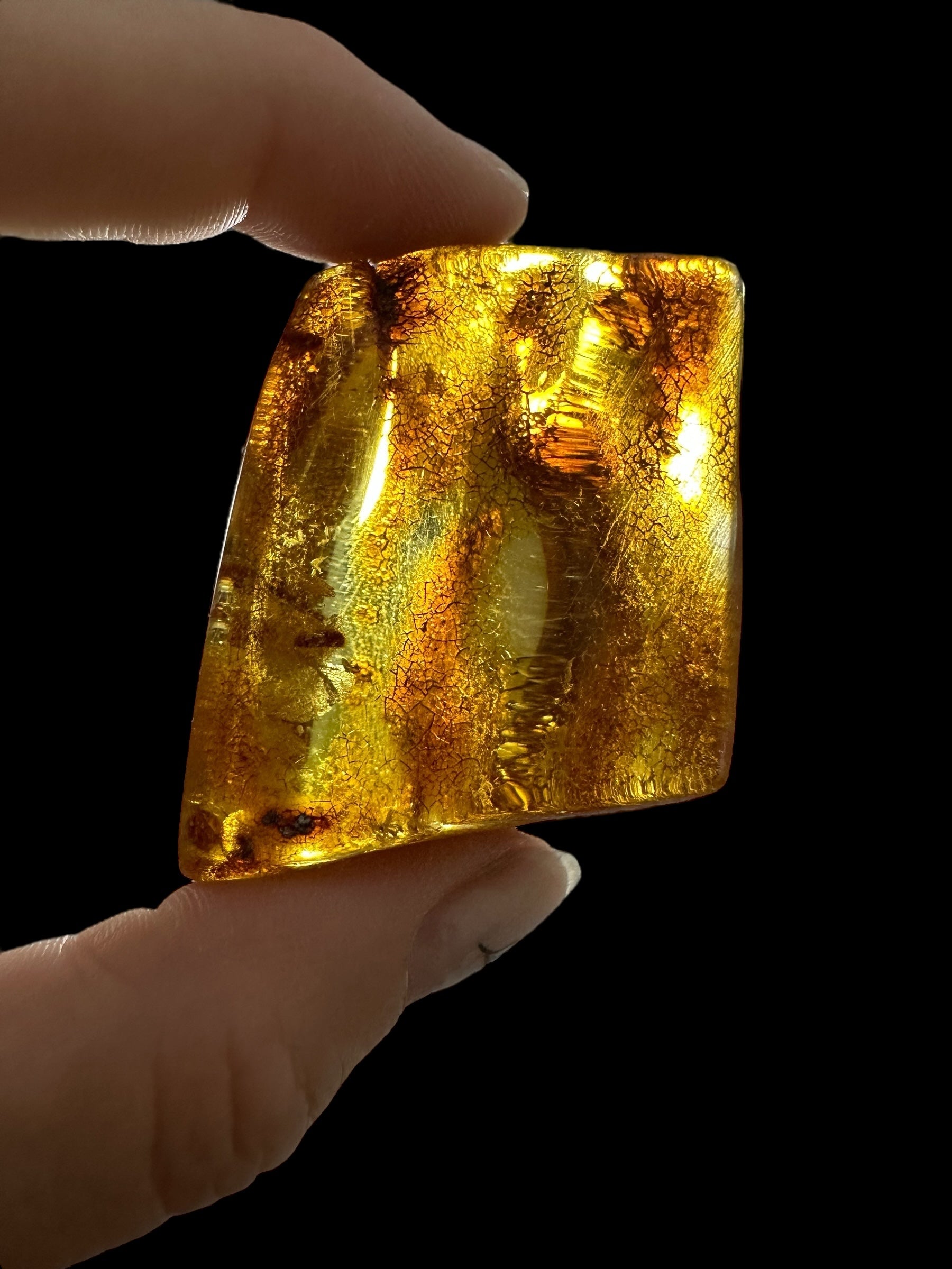 Young Amber (Copal) – Colombia - JN394