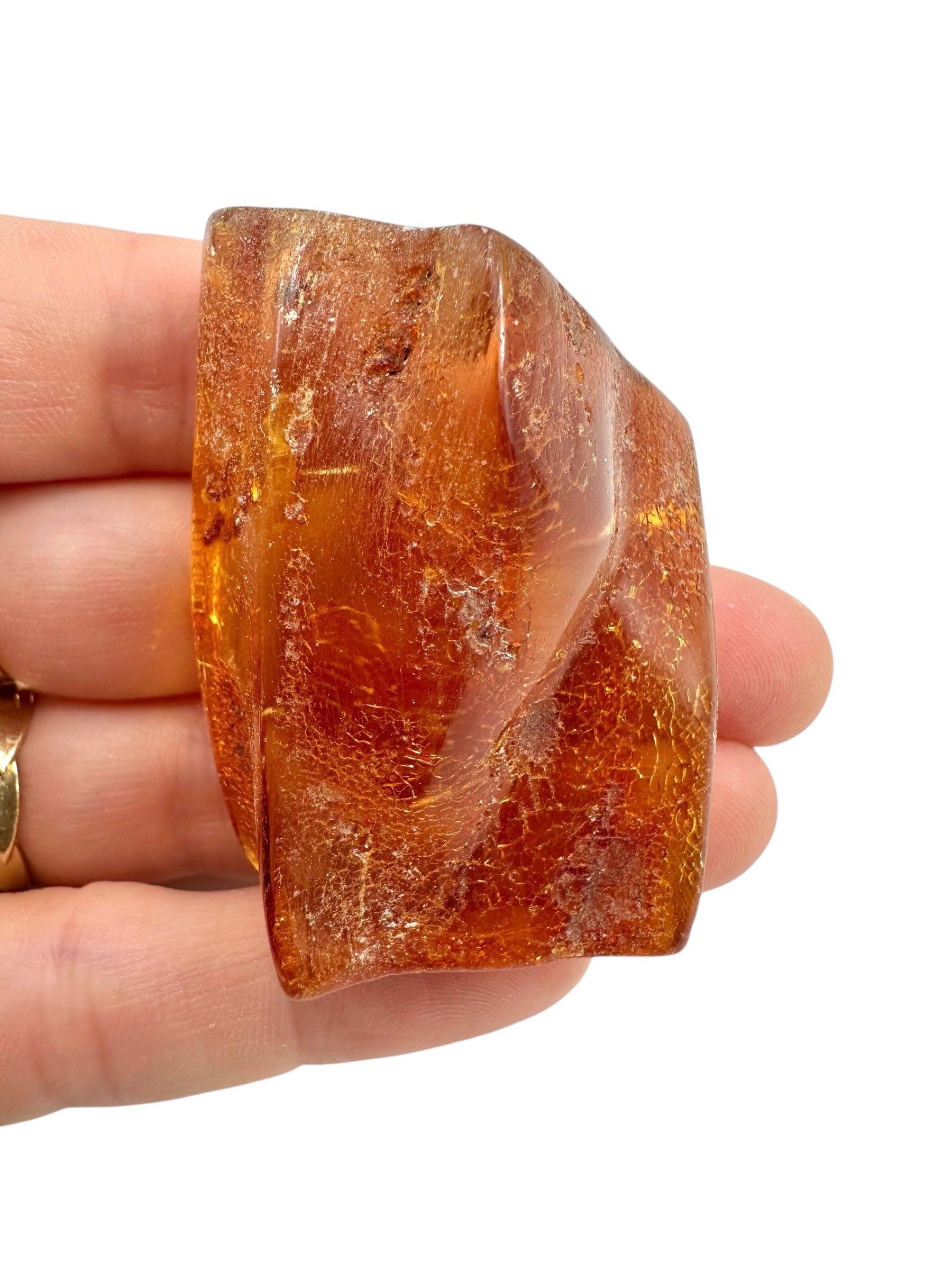 Young Amber (Copal) – Colombia