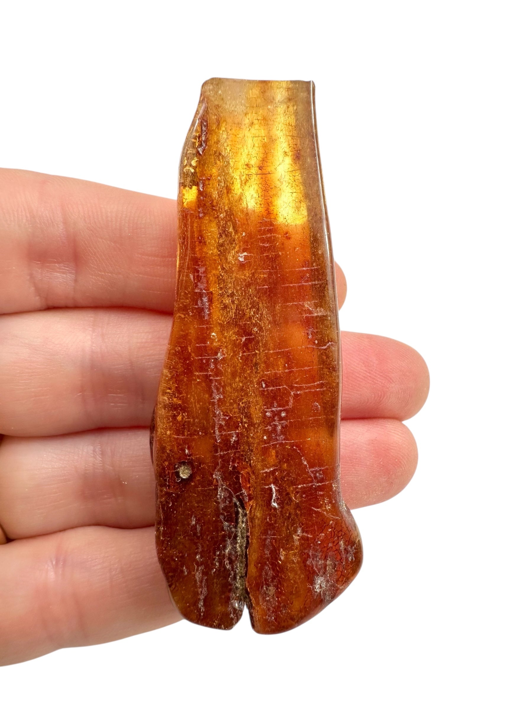 Young Amber (Copal) – Colombia - JN395