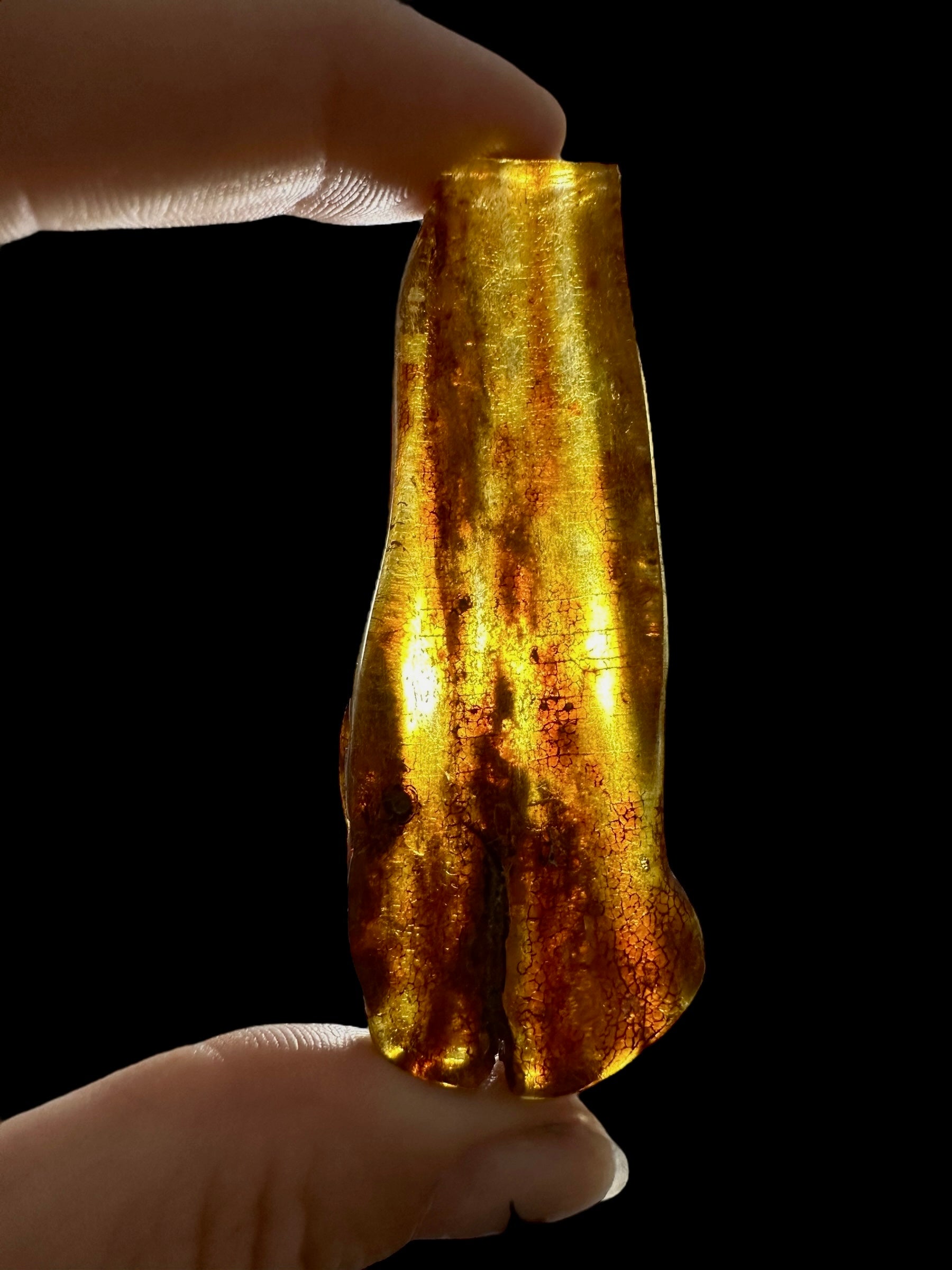 Young Amber (Copal) – Colombia - JN395