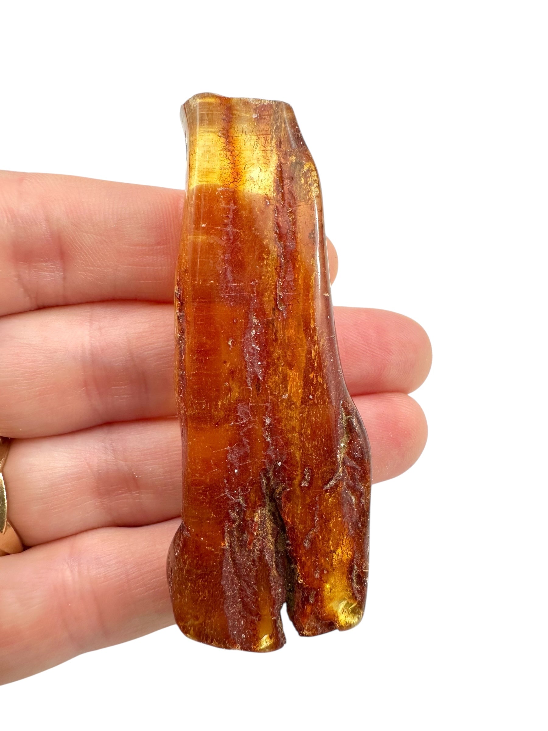 Young Amber (Copal) – Colombia