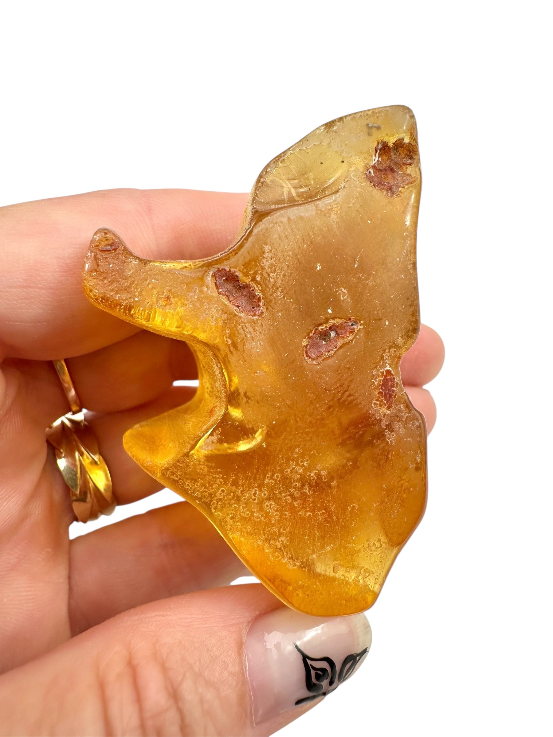 Young Amber (Copal) – Colombia - JN396