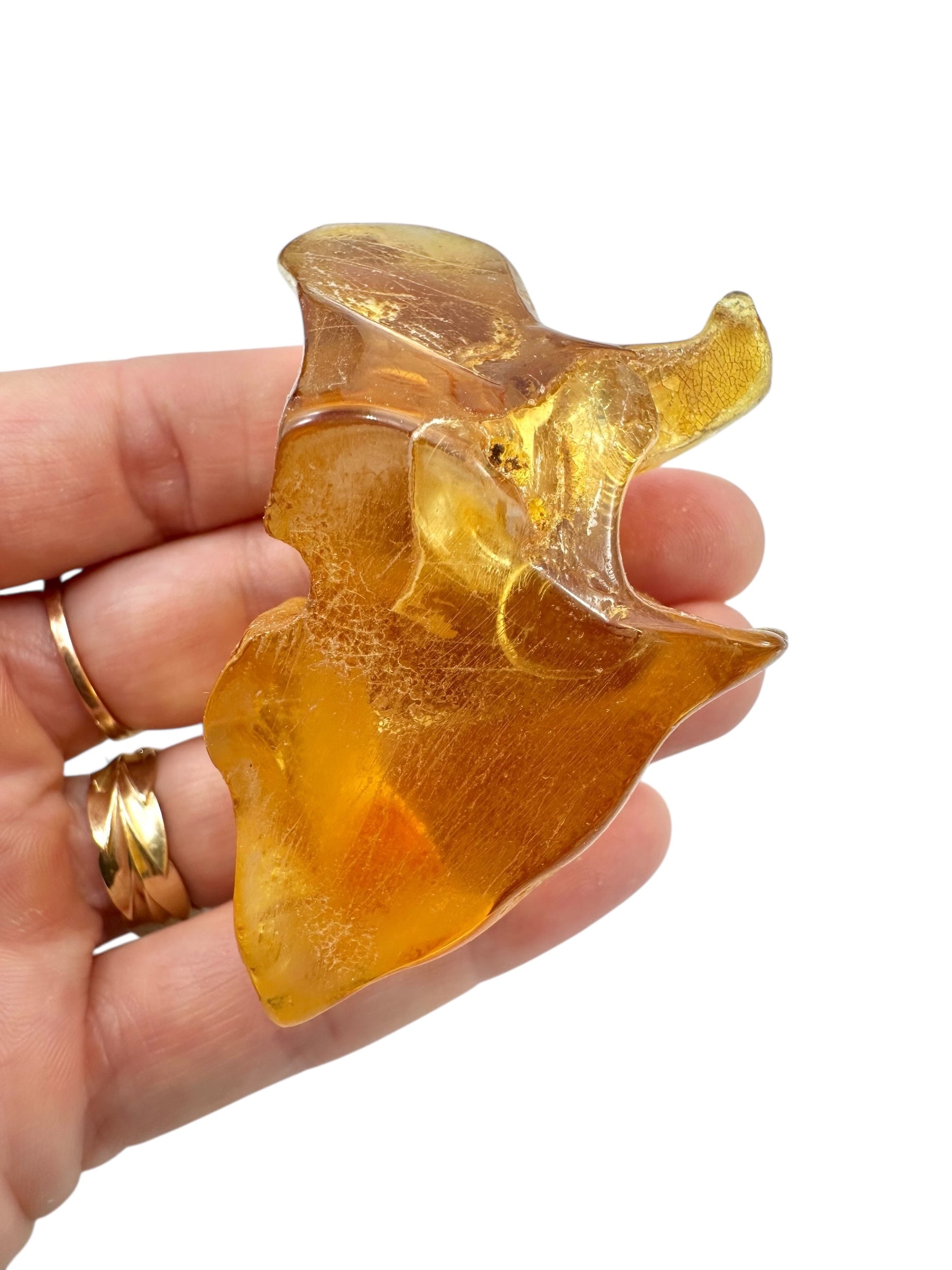 Young Amber (Copal) – Colombia