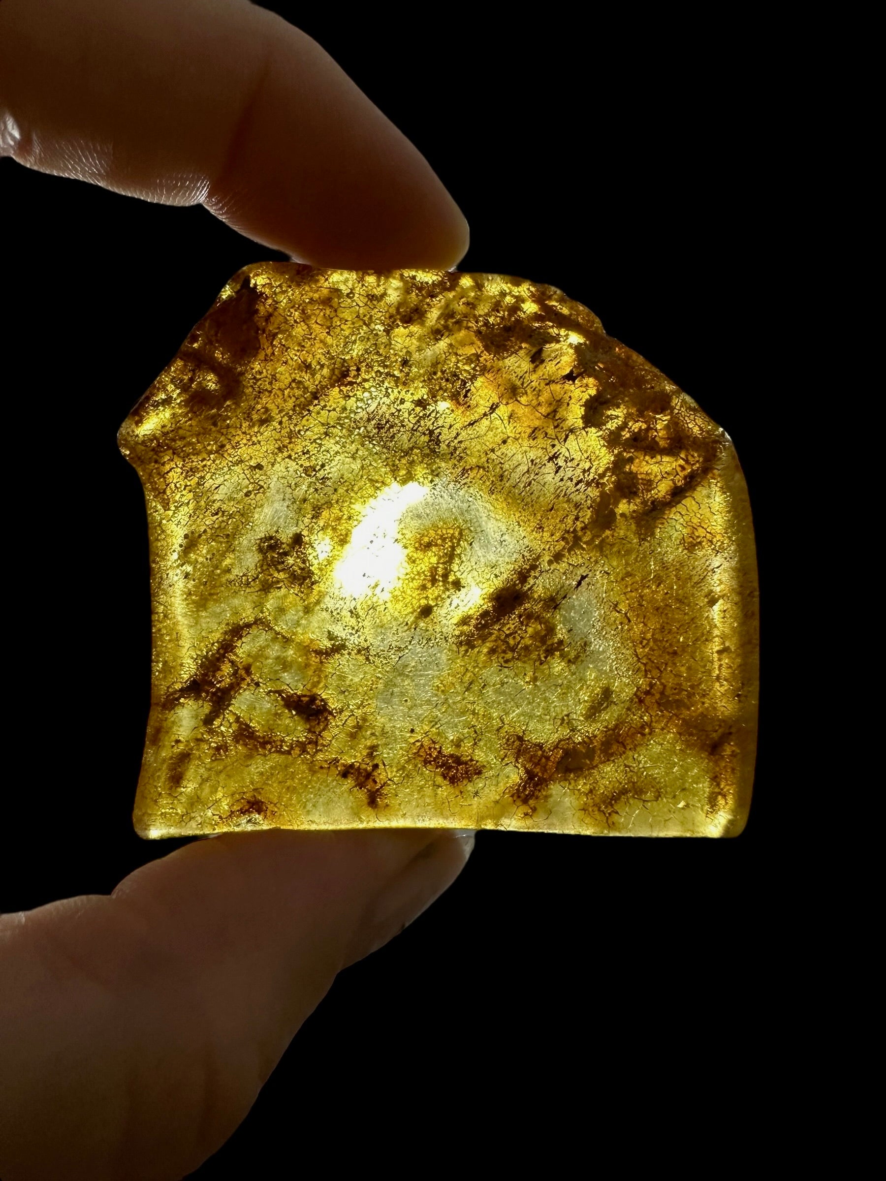 Young Amber (Copal) – Colombia - JN397