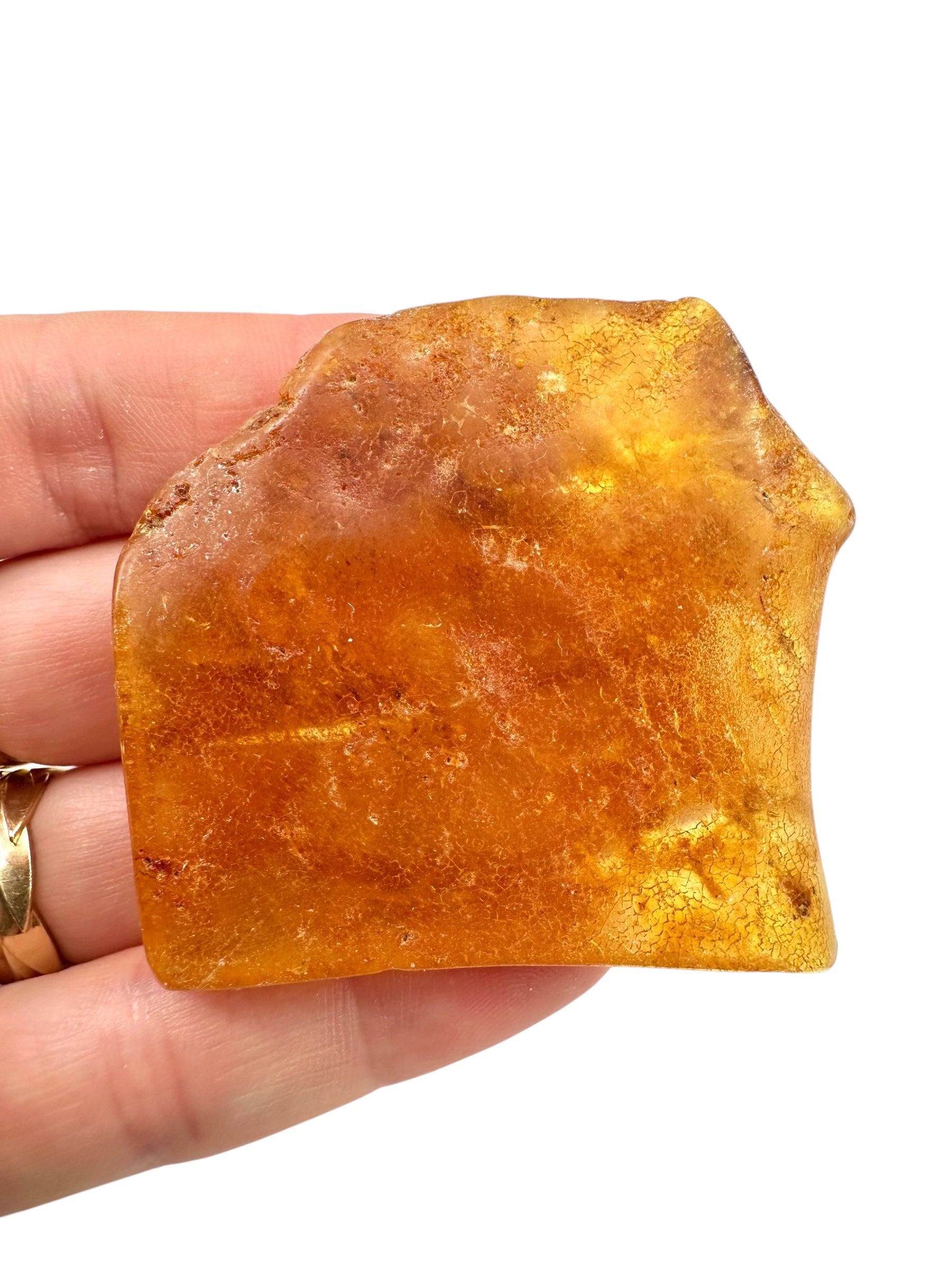 Young Amber (Copal) – Colombia
