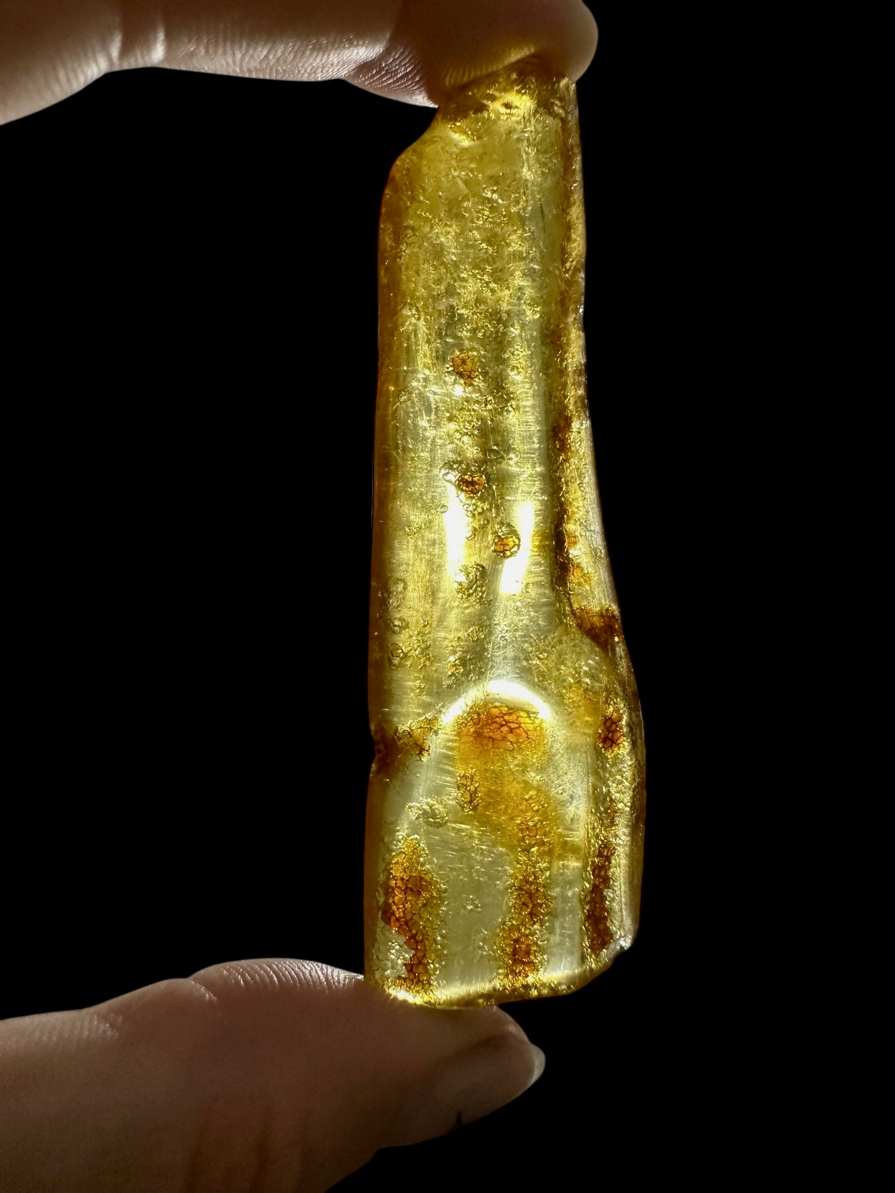 Young Amber (Copal) – Colombia - JN398
