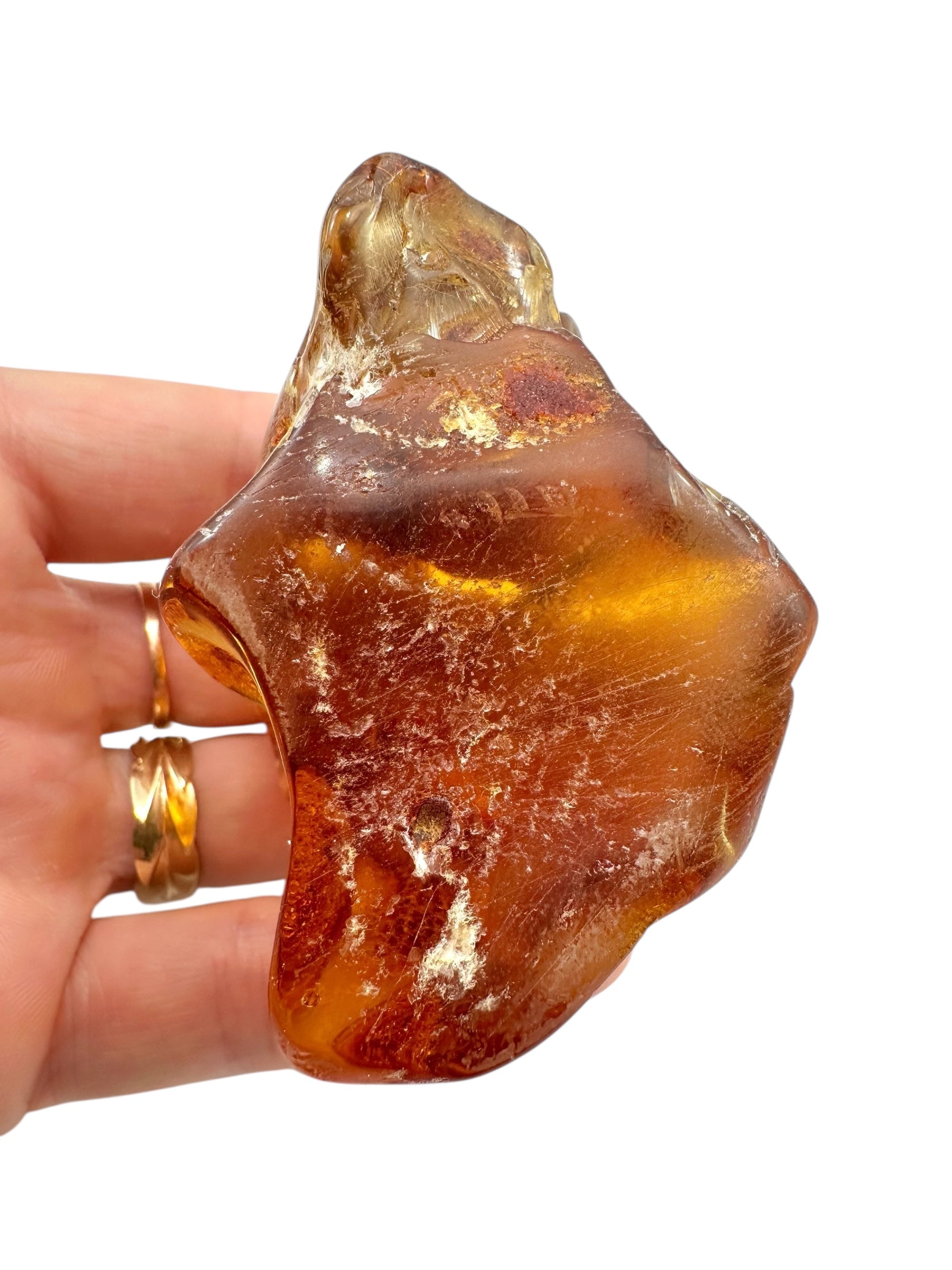Young Amber (Copal) – Colombia - JN399