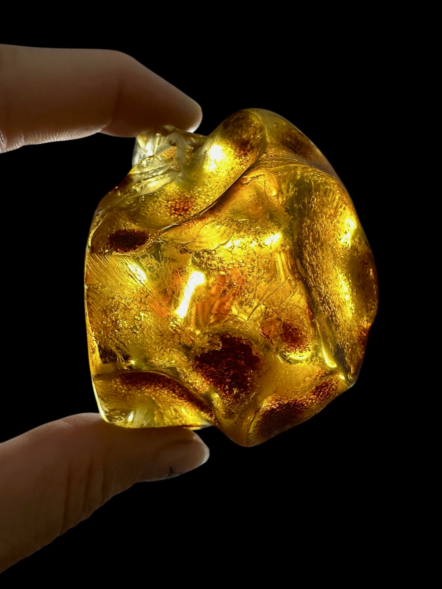 Young Amber (Copal) – Colombia - JN399