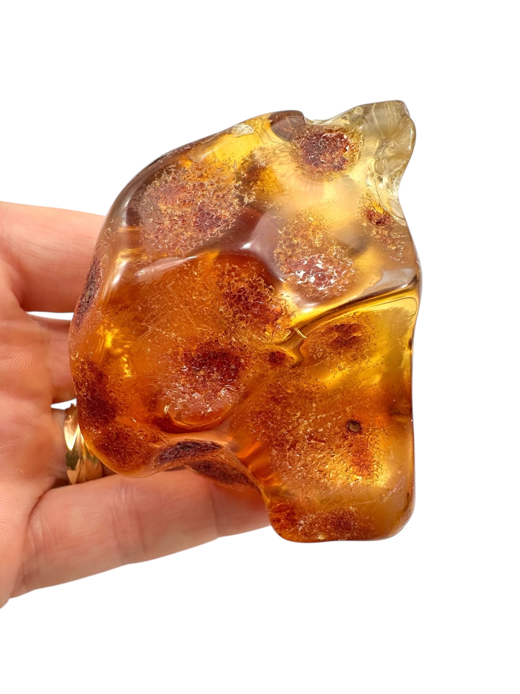 Young Amber (Copal) – Colombia
