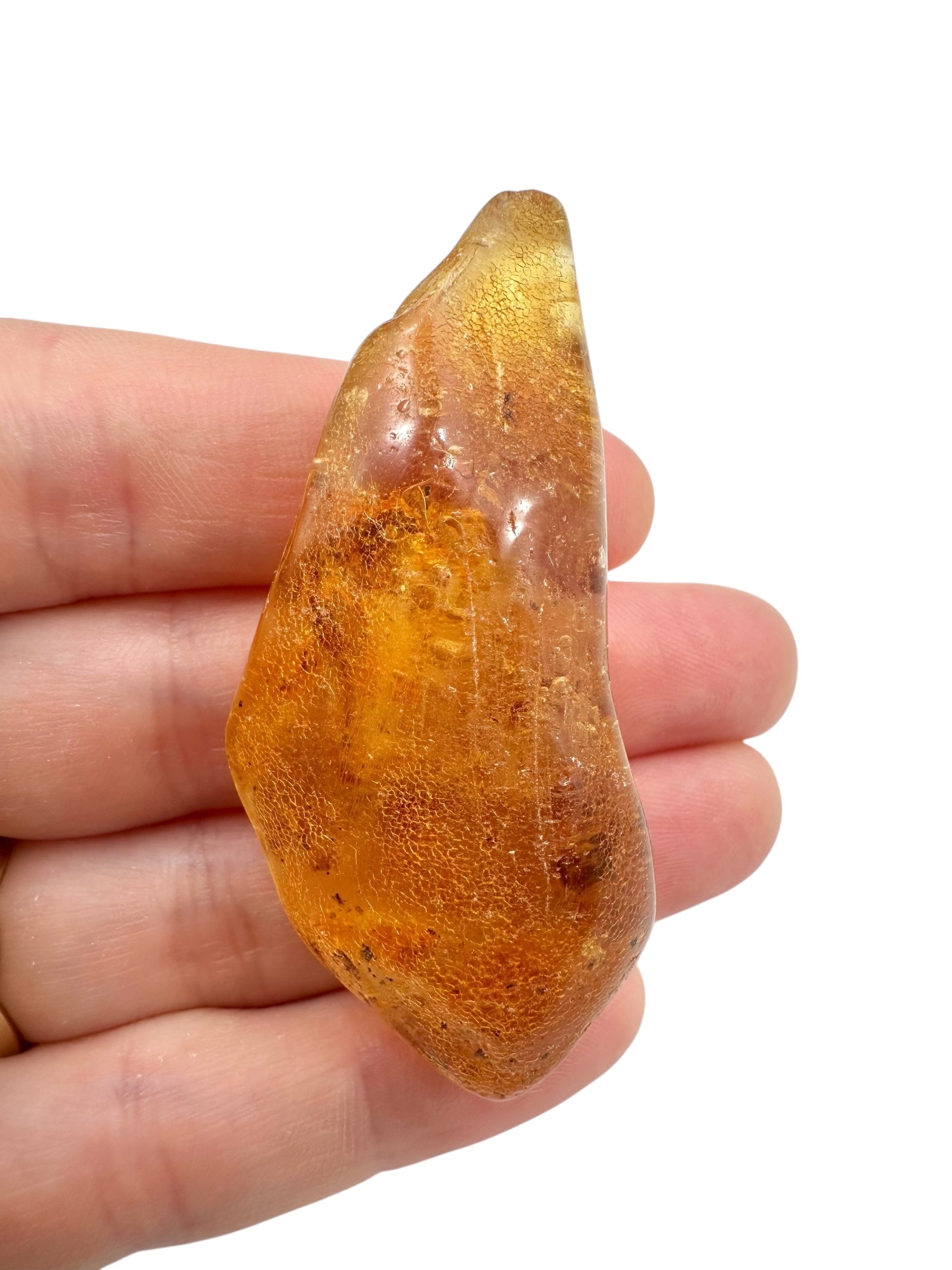 Young Amber (Copal) – Colombia - JN400