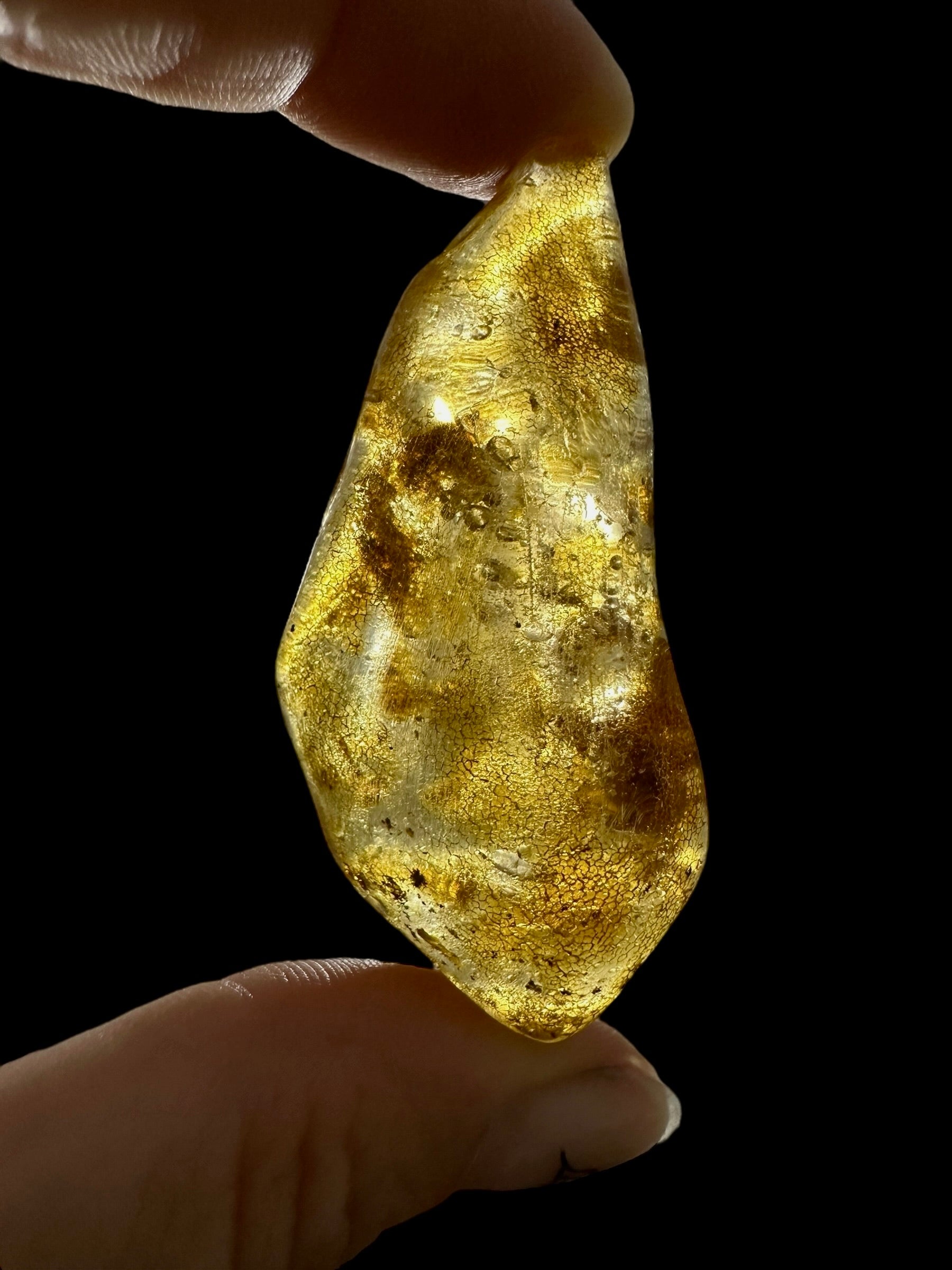 Young Amber (Copal) – Colombia - JN400