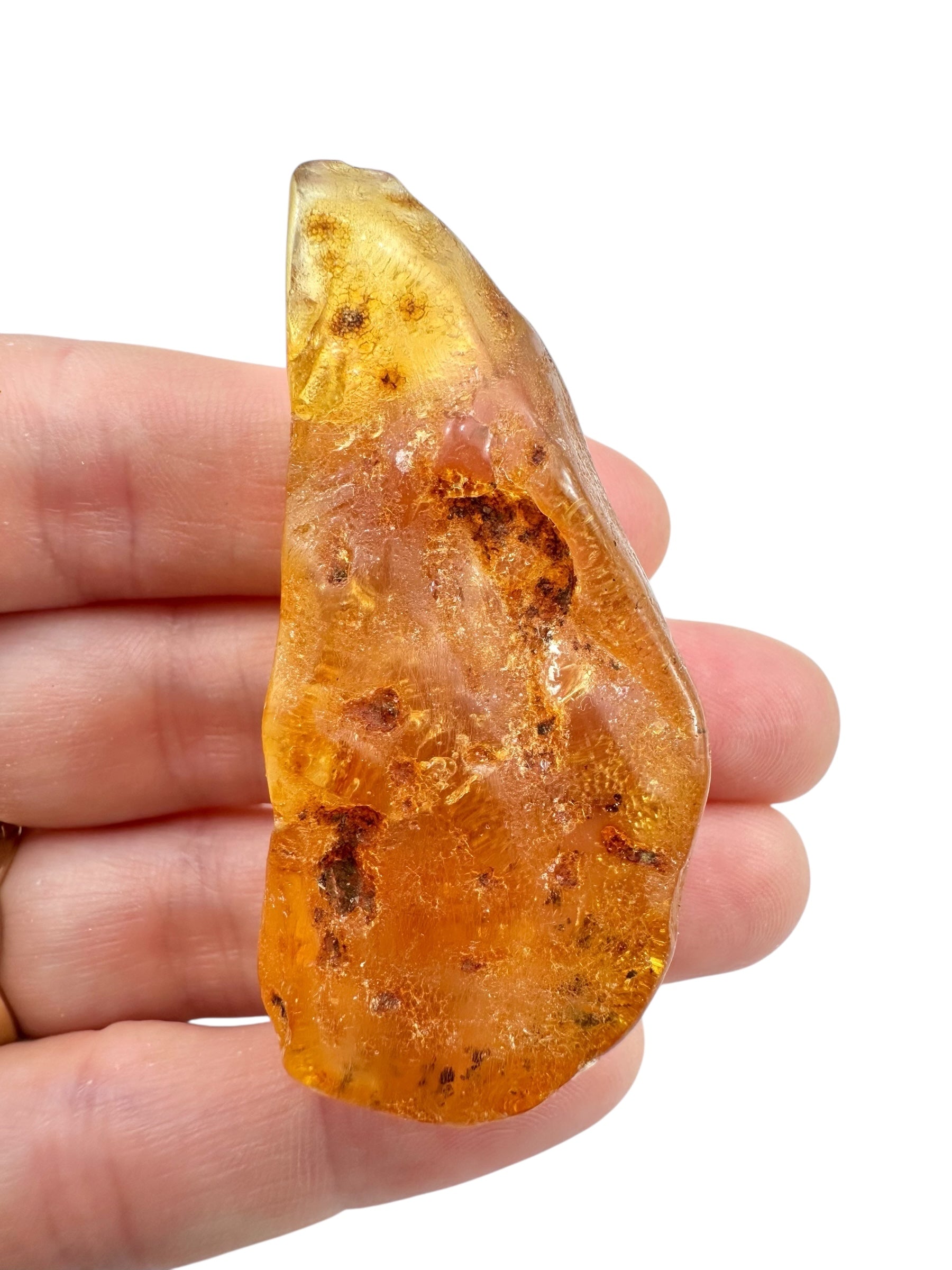 Young Amber (Copal) – Colombia