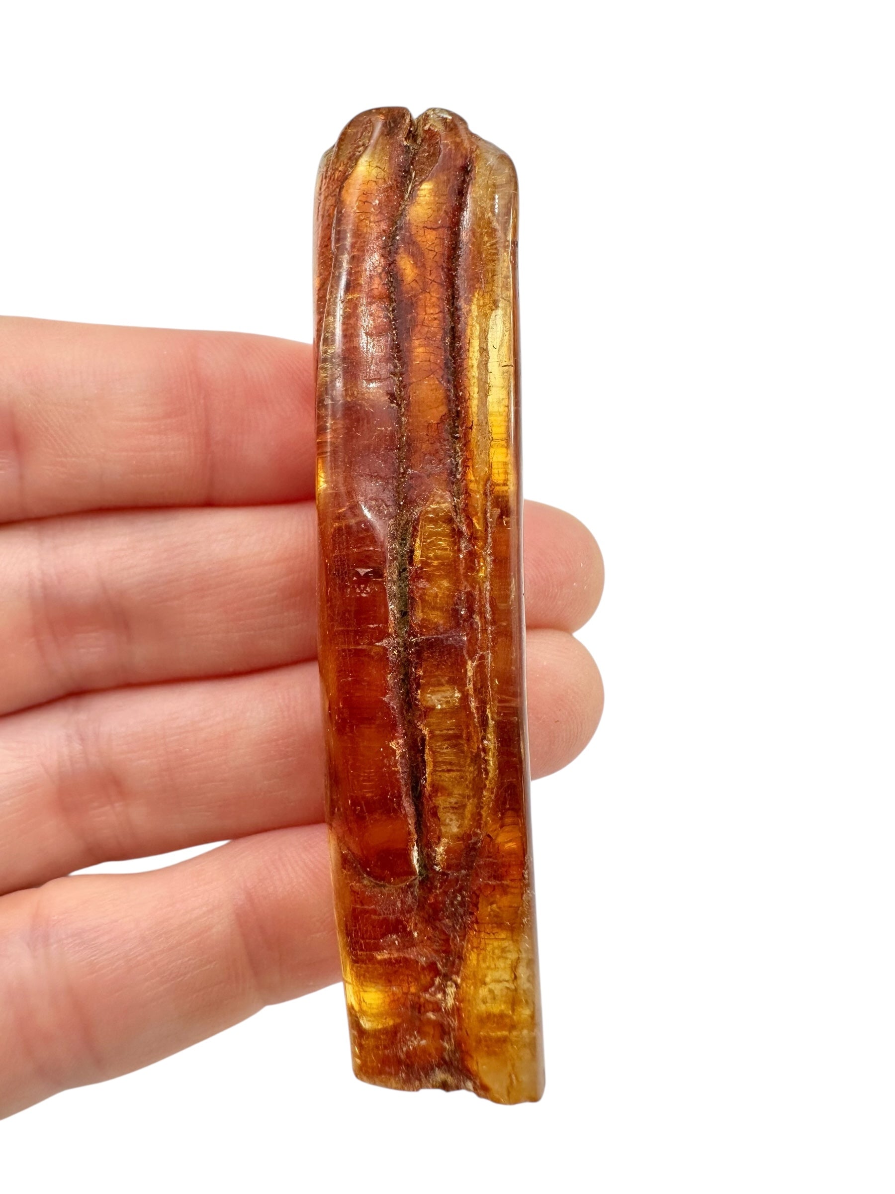 Young Amber (Copal) – Colombia - JN401