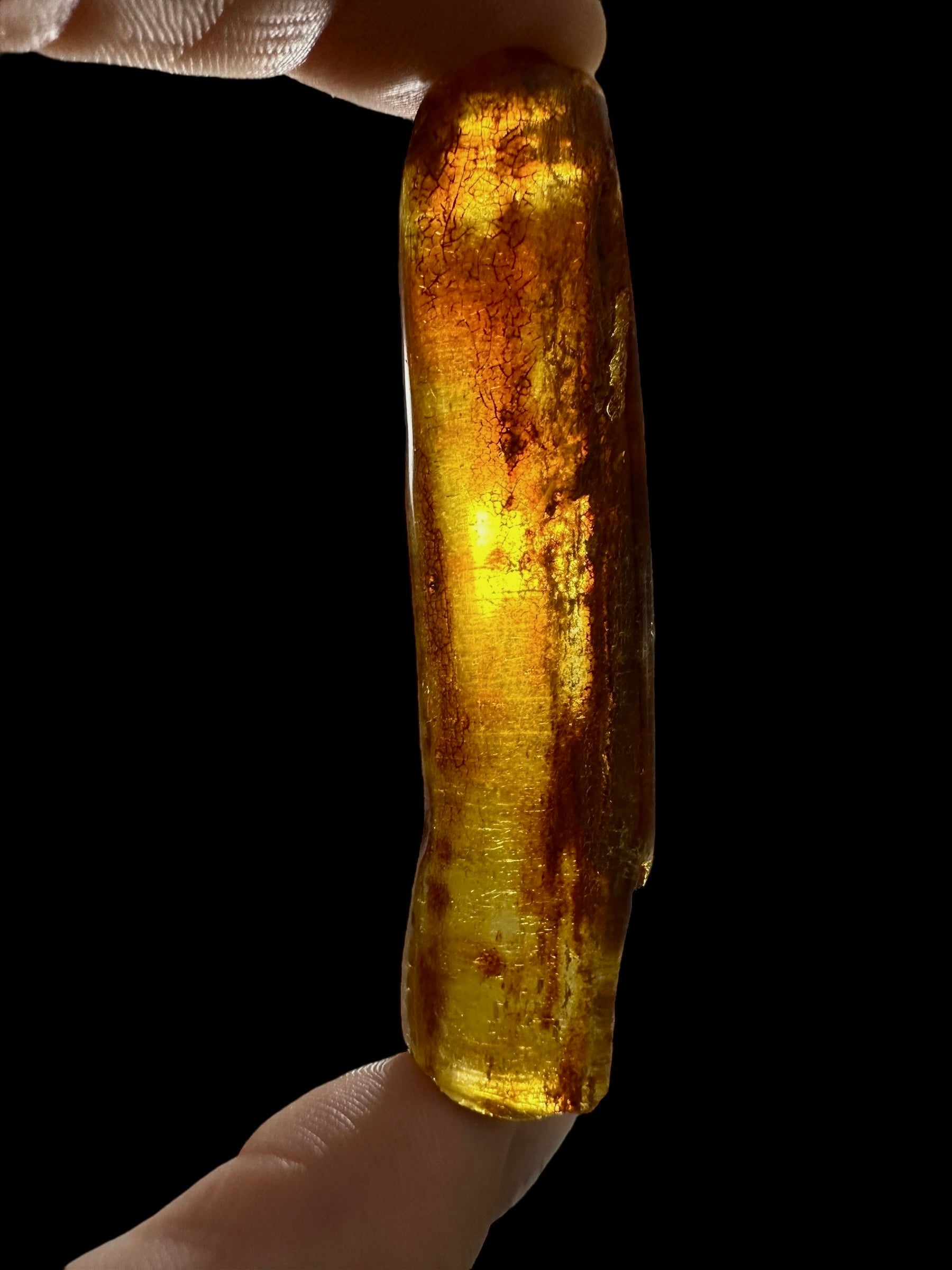 Young Amber (Copal) – Colombia - JN401