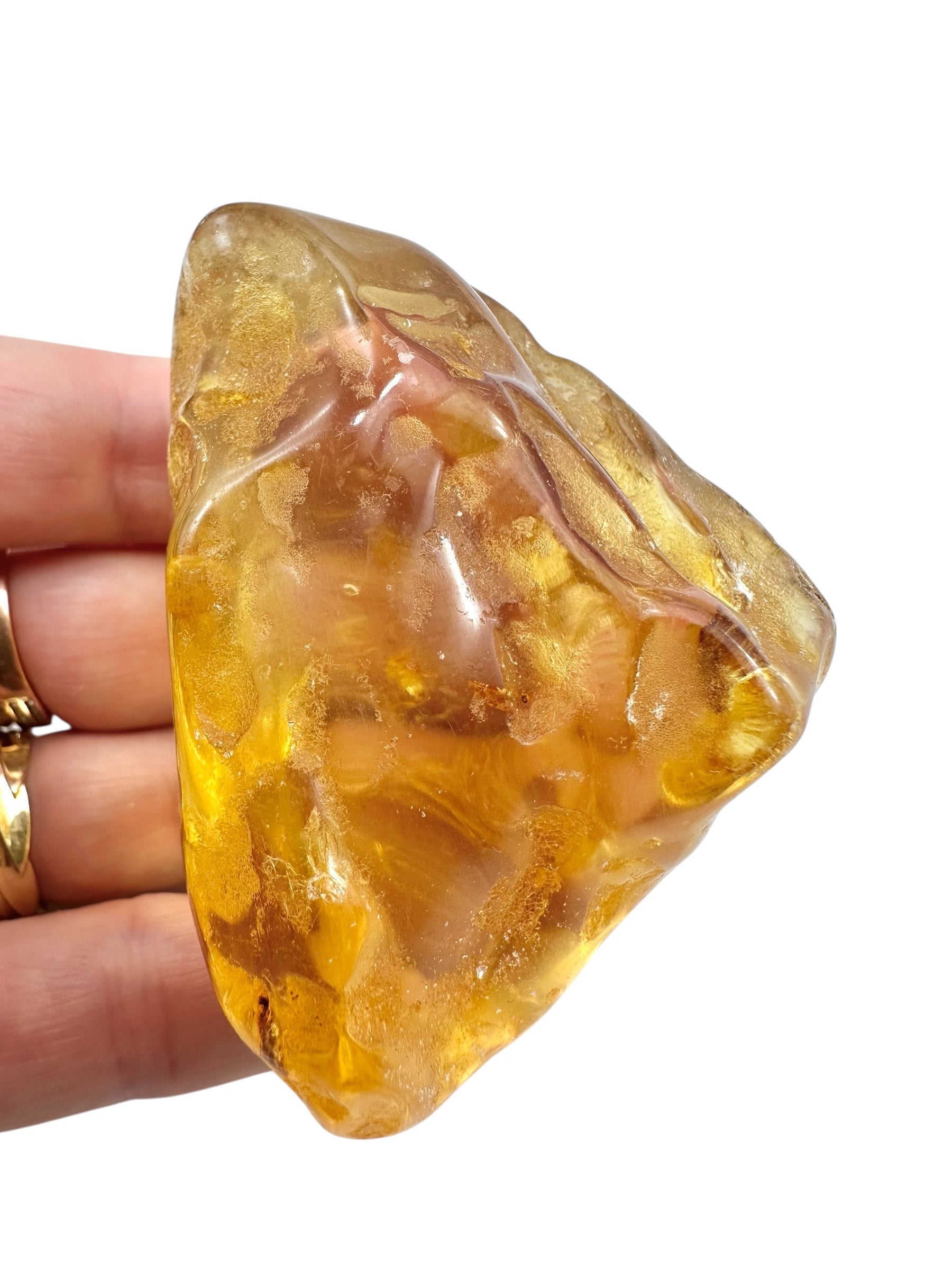 Young Amber (Copal) – Colombia - JN402
