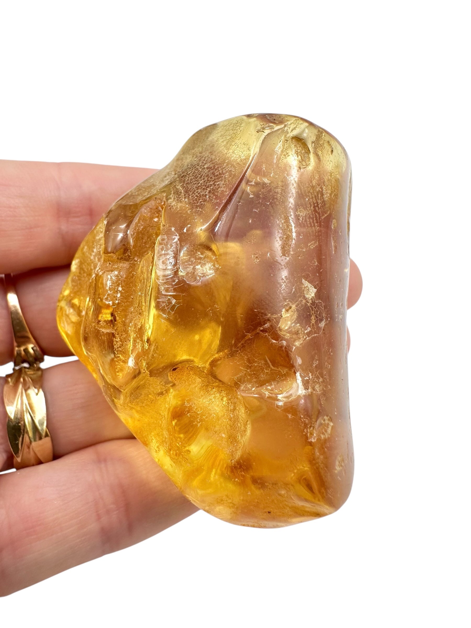 Young Amber (Copal) – Colombia - JN402