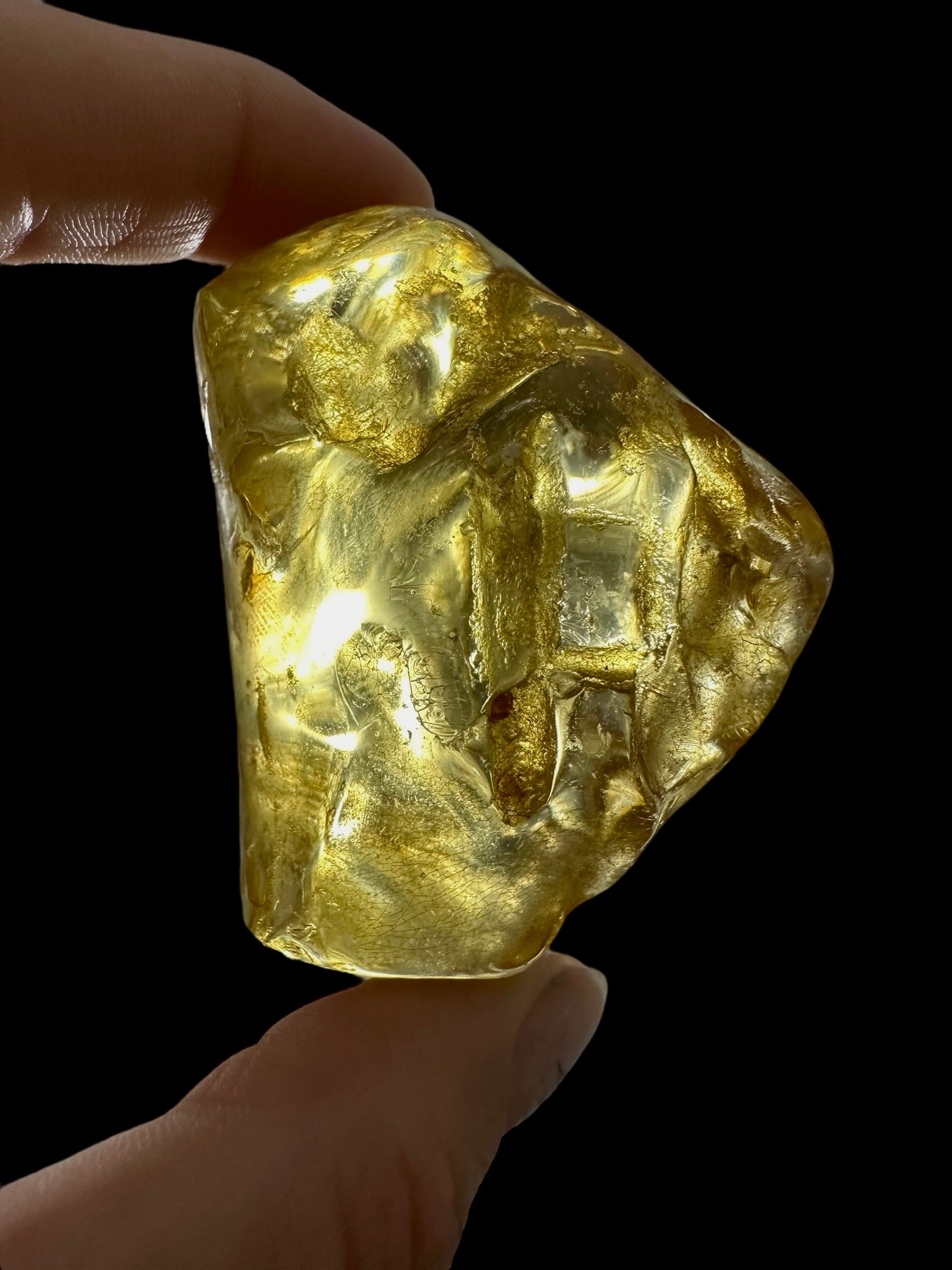 Young Amber (Copal) – Colombia - JN402