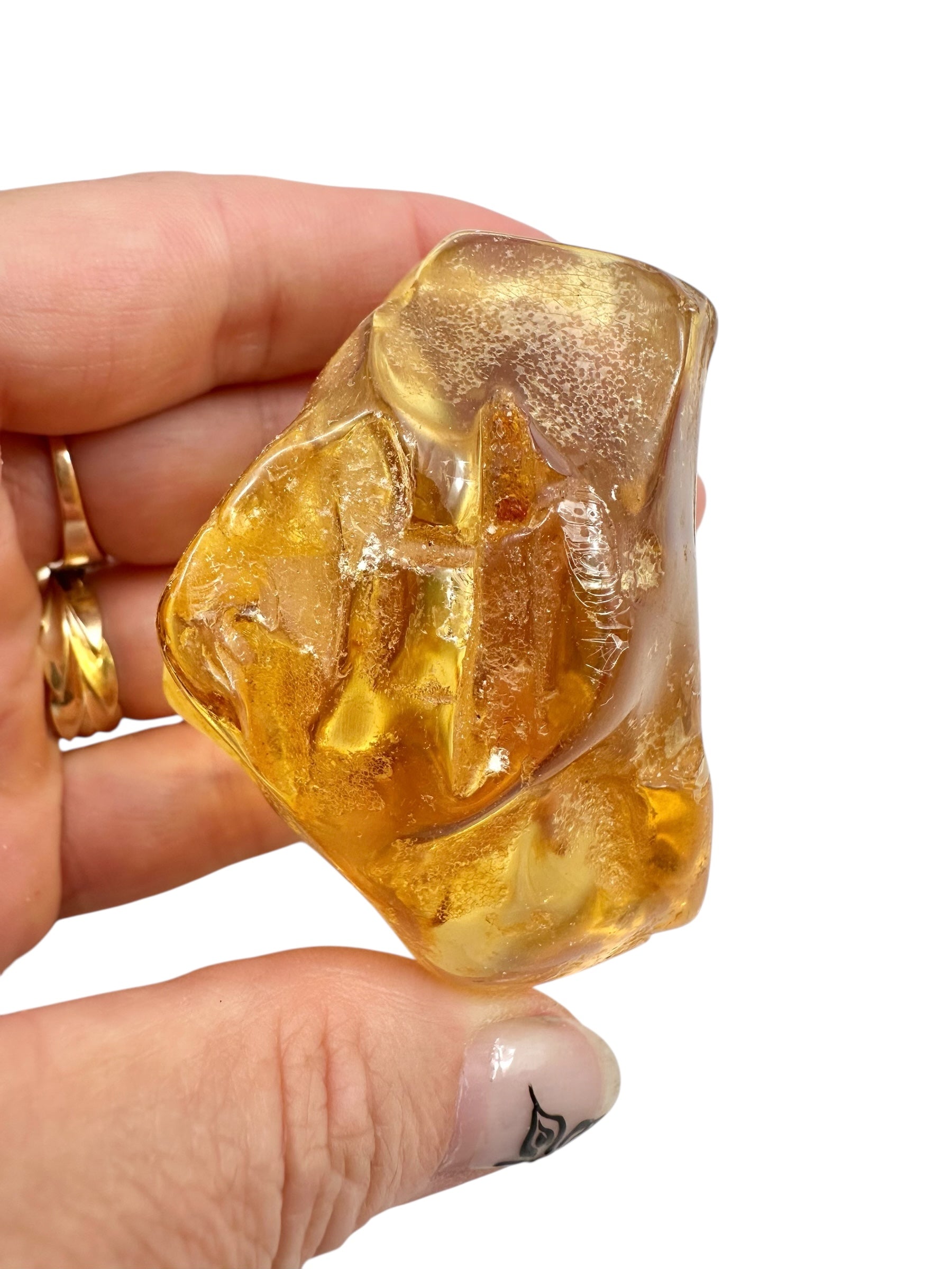 Young Amber (Copal) – Colombia