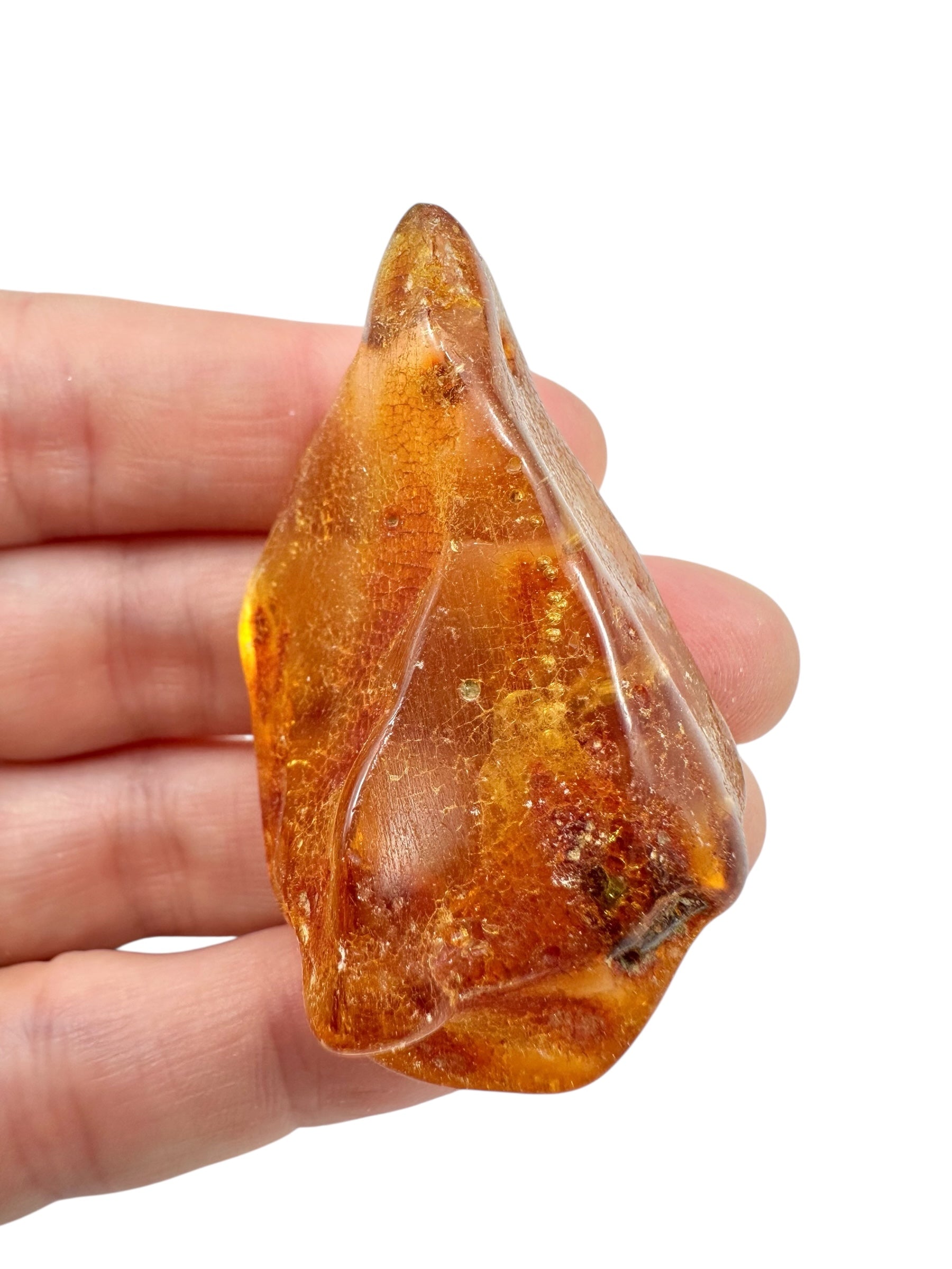 Young Amber (Copal) – Colombia - JN403