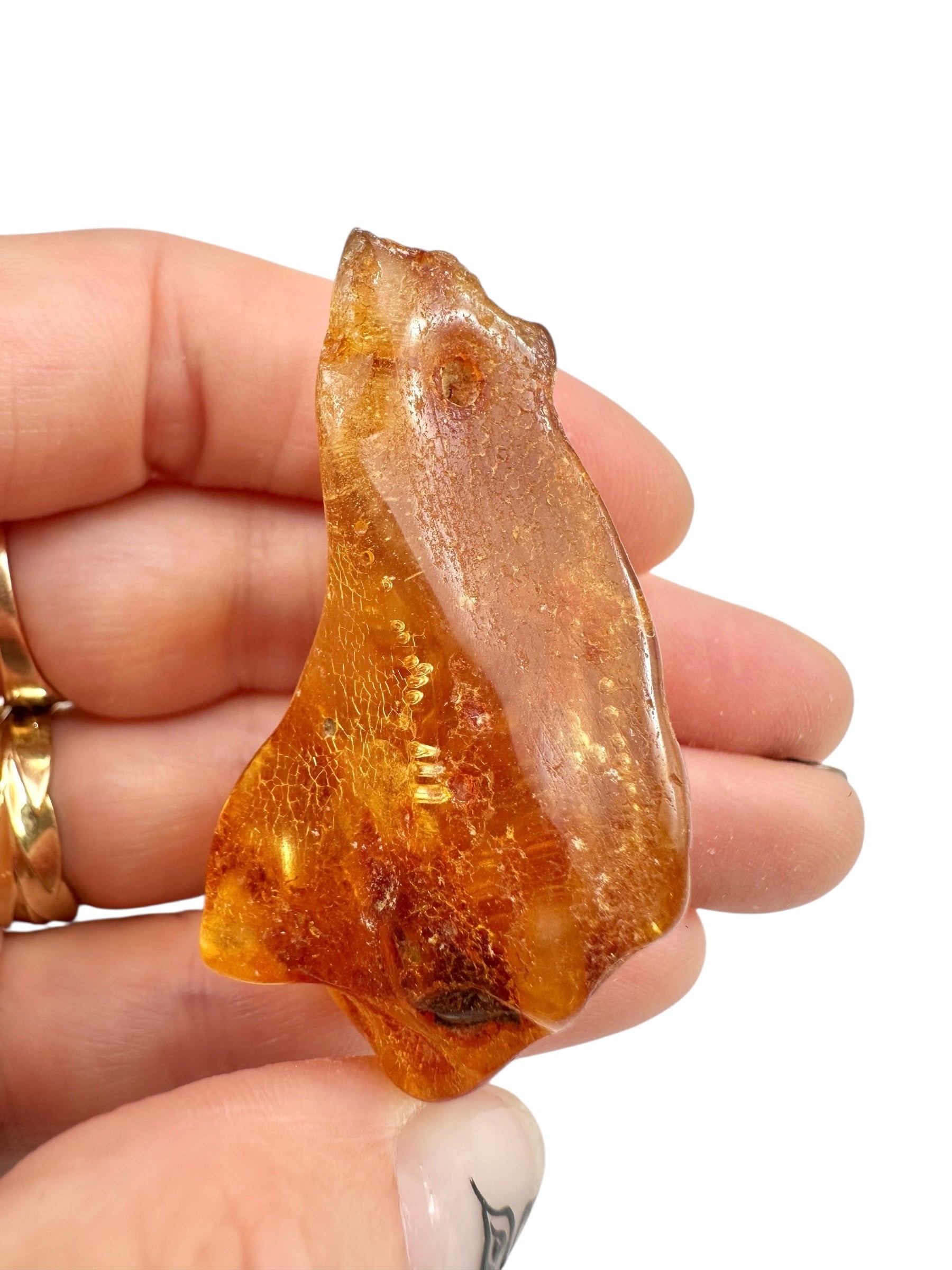 Young Amber (Copal) – Colombia - JN403