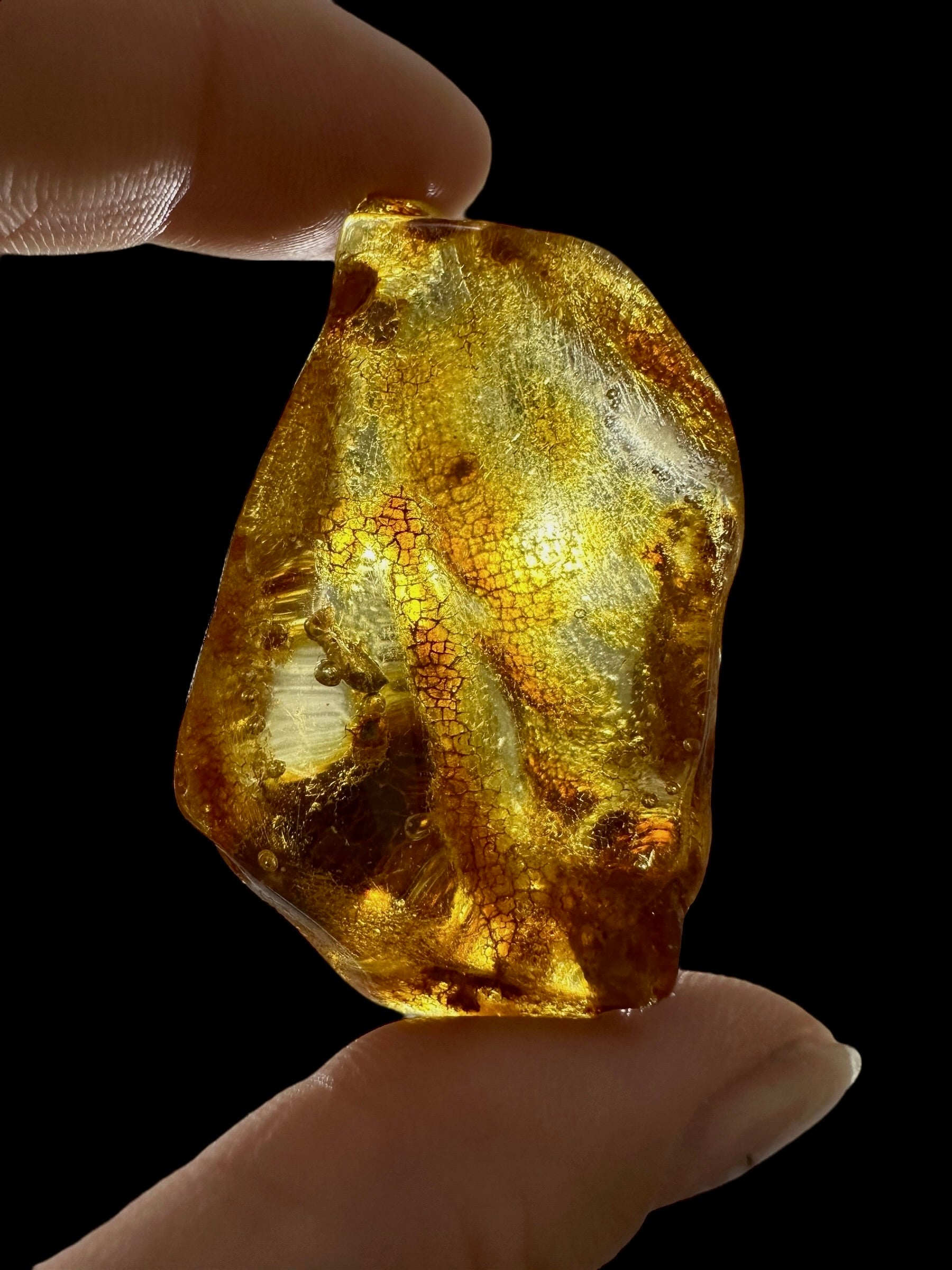 Young Amber (Copal) – Colombia - JN403