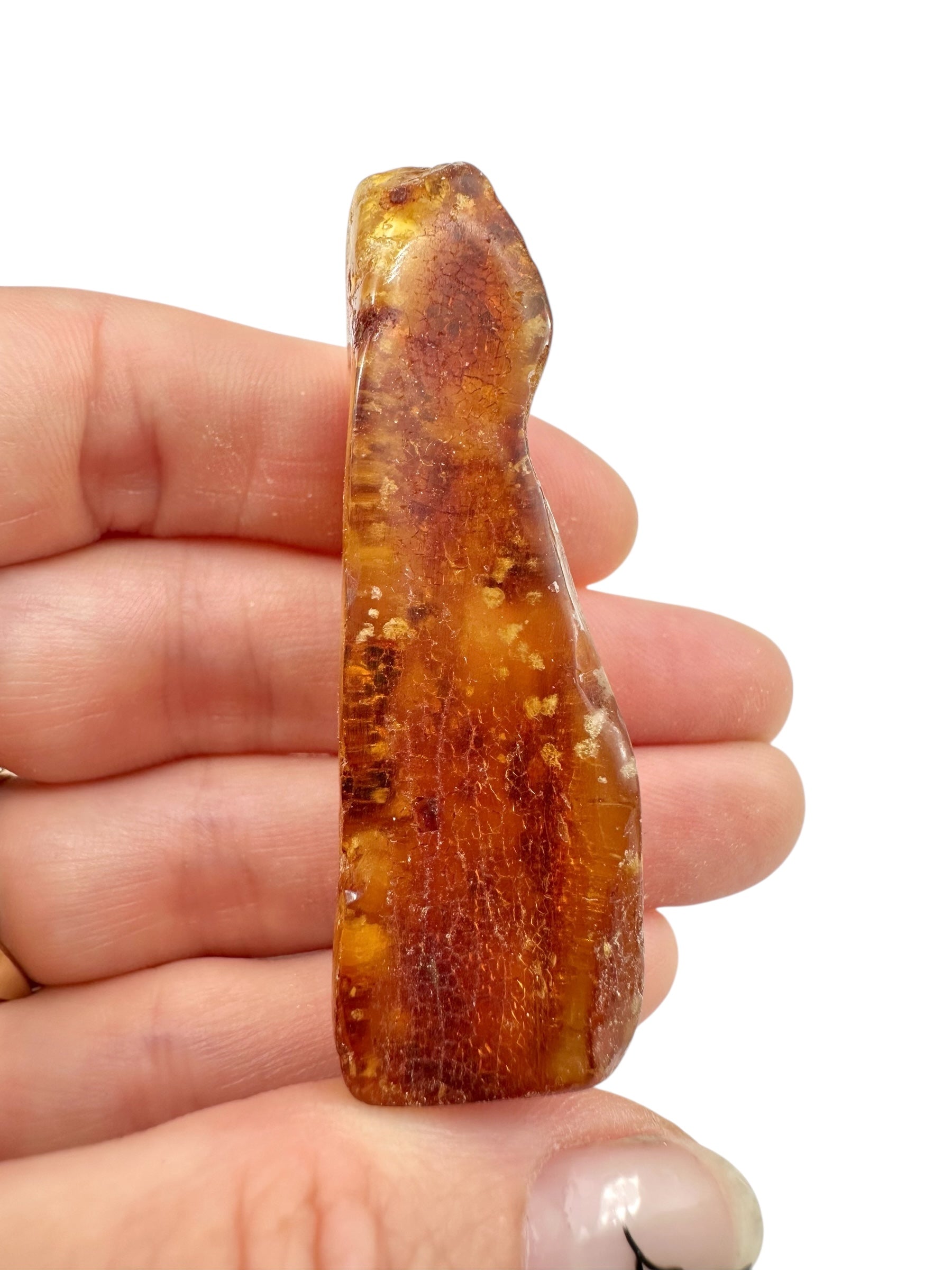 Young Amber (Copal) – Colombia - JN404