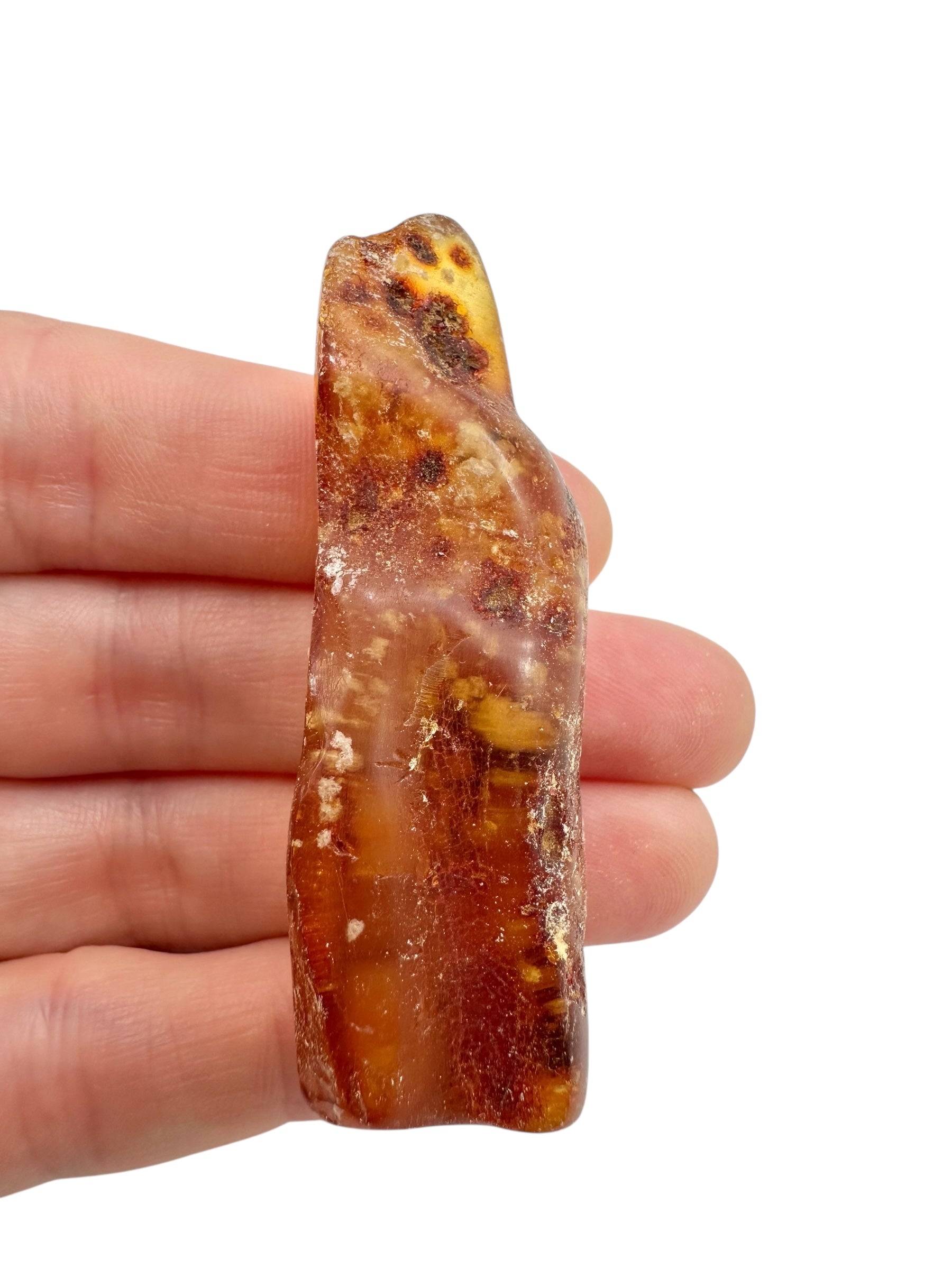 Young Amber (Copal) – Colombia - JN404