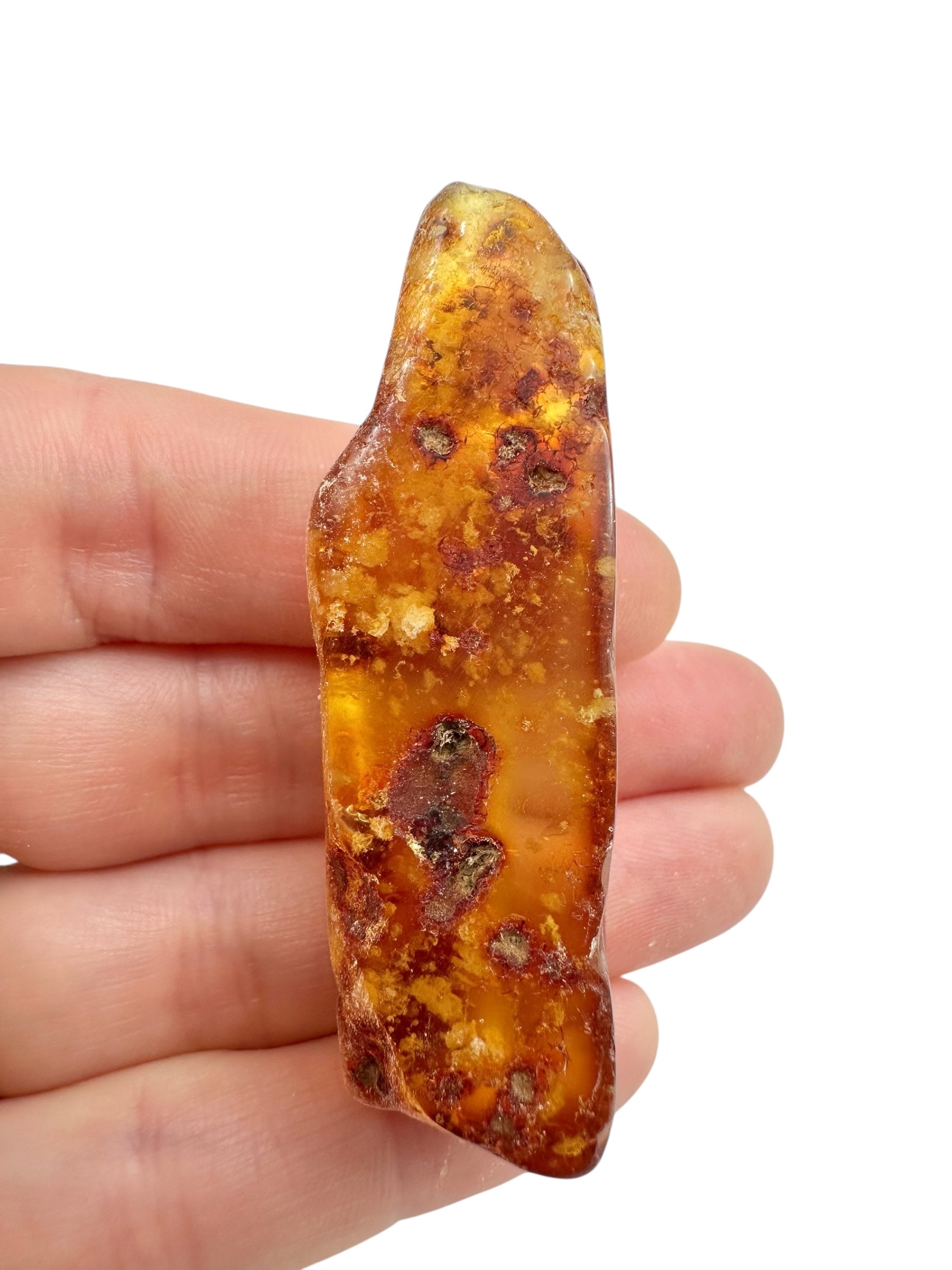 Young Amber (Copal) – Colombia