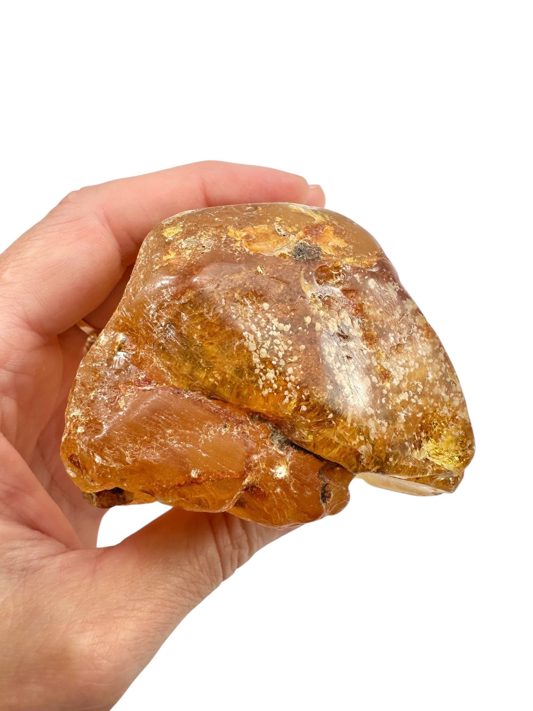 Young Amber (Copal) – Colombia - JN406