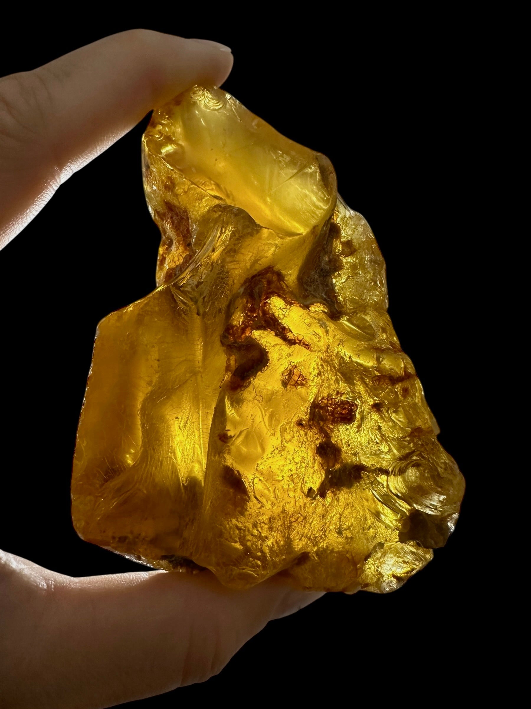 Young Amber (Copal) – Colombia - JN406