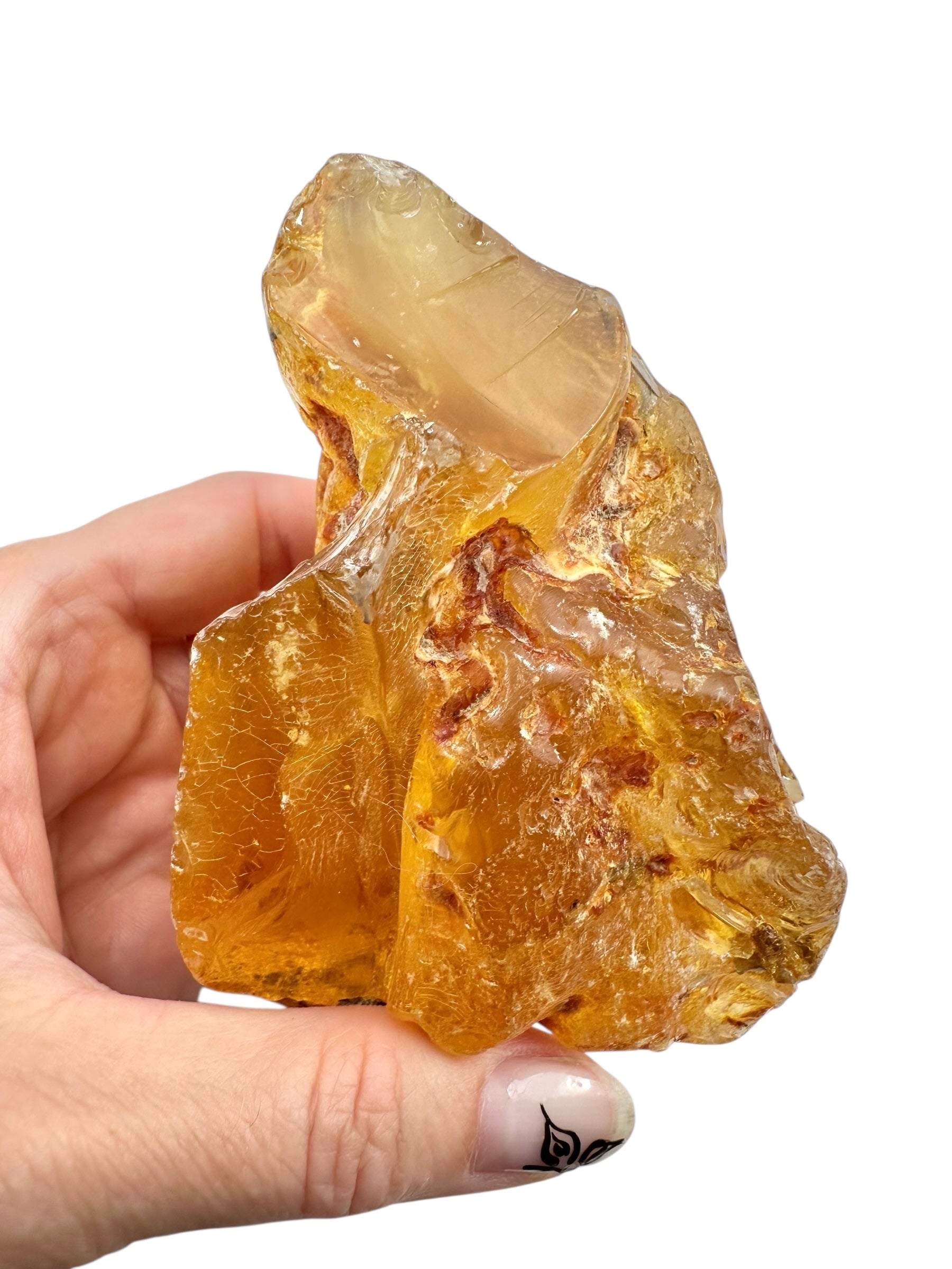 Young Amber (Copal) – Colombia