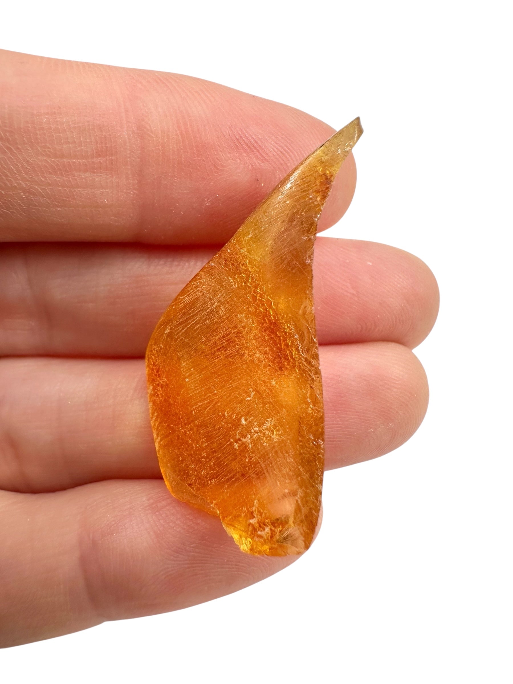 Young Amber (Copal) – Colombia - JN408