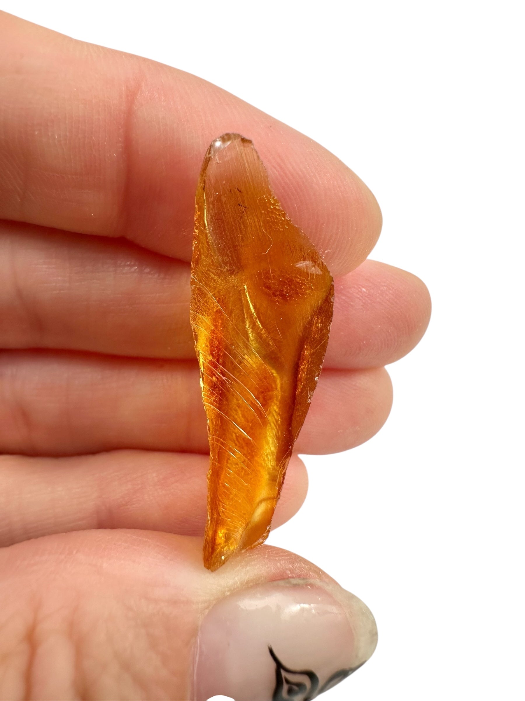 Young Amber (Copal) – Colombia - JN408