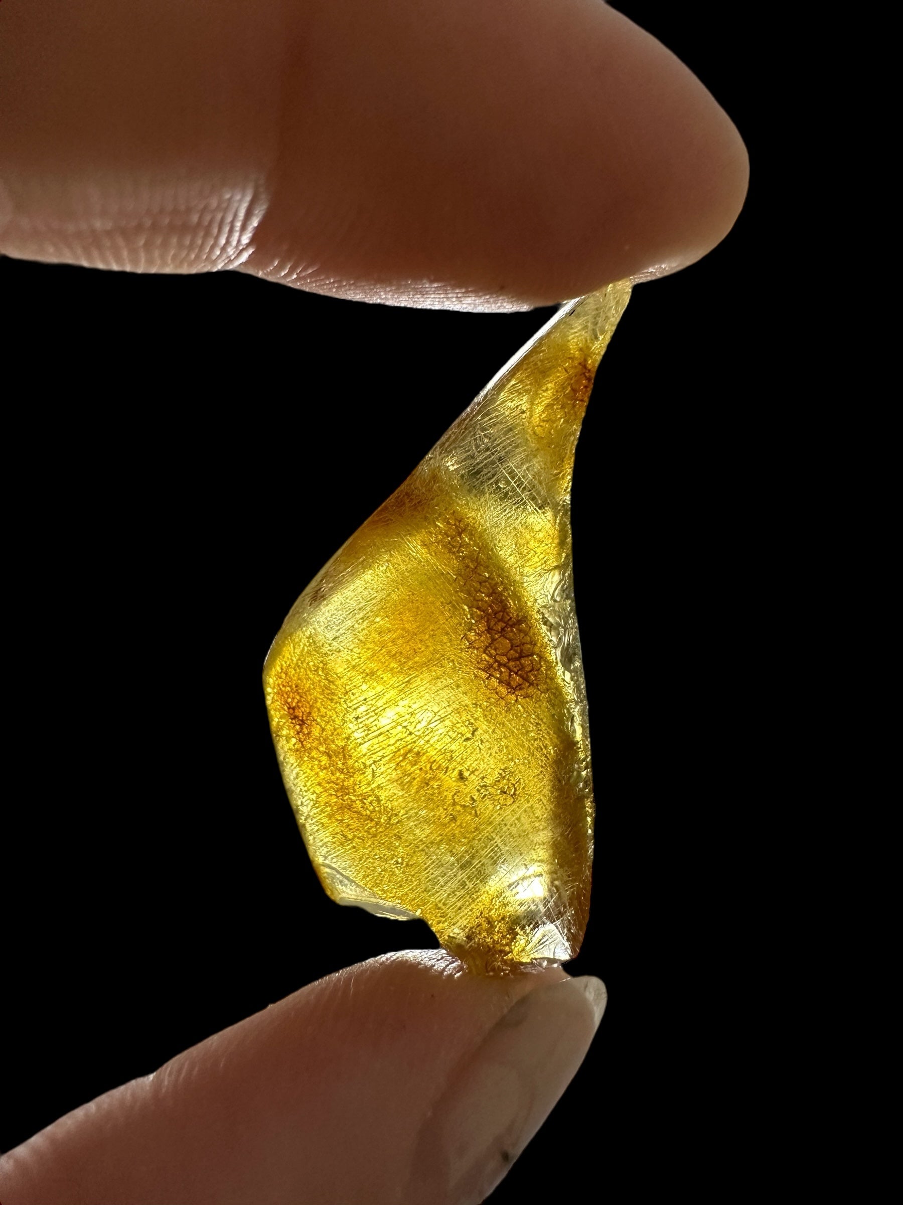 Young Amber (Copal) – Colombia - JN408