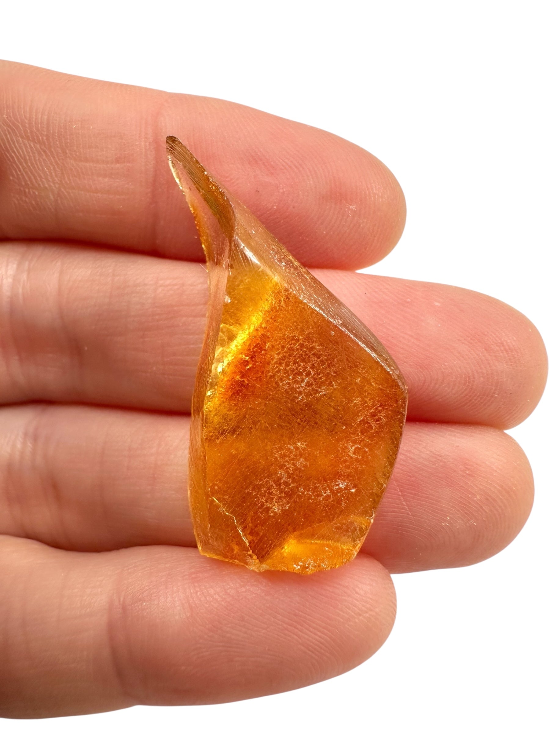 Young Amber (Copal) – Colombia