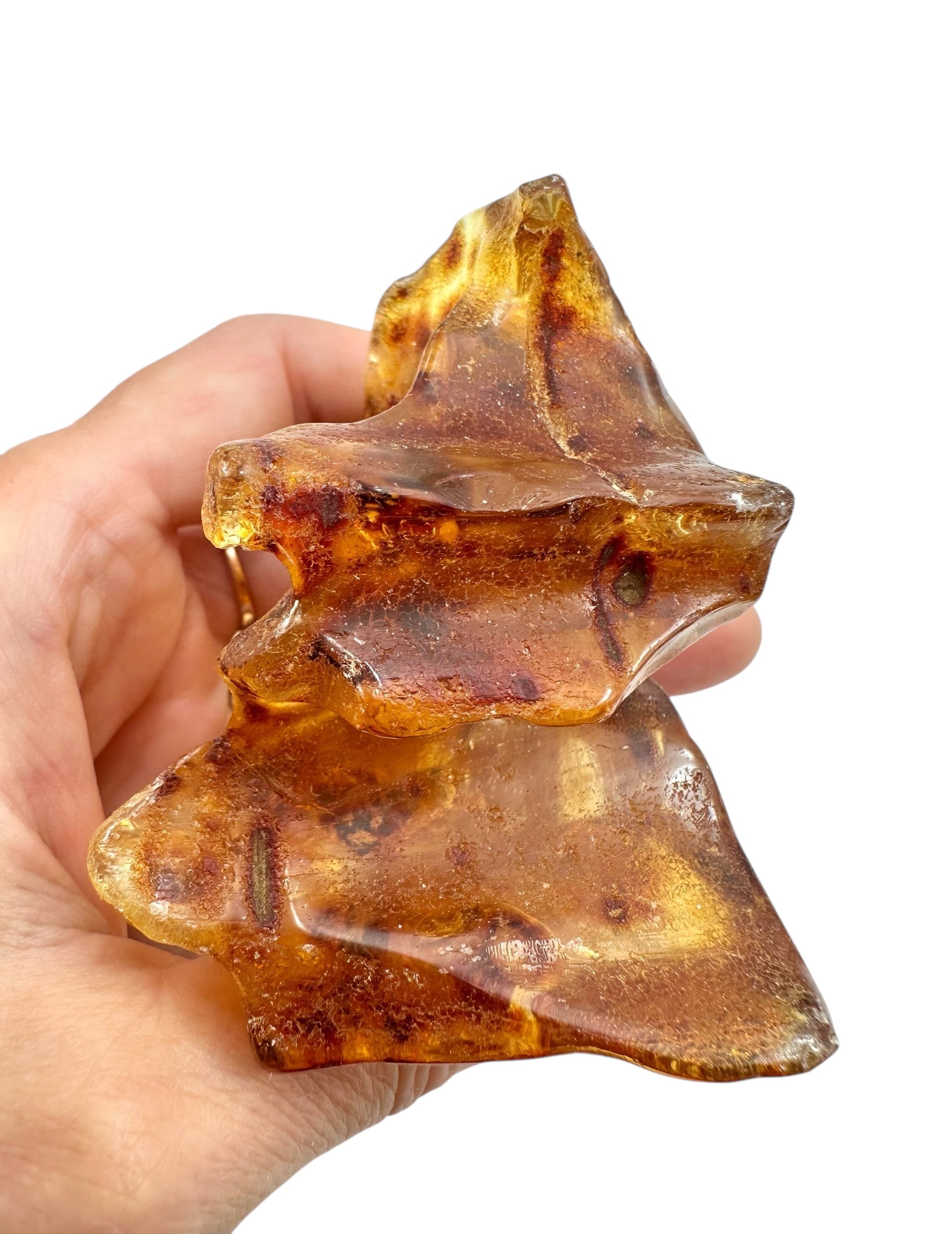 Young Amber (Copal) – Colombia - JN409